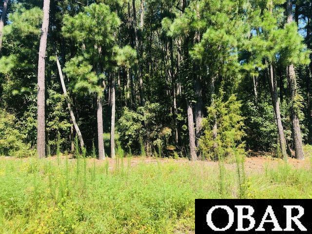 637 Sandy Ridge Road, Tyner, NC 27980, ,Lots/land,For sale,Sandy Ridge Road,126699