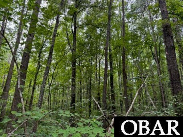 1580 Tulls Creek Road, Moyock, NC 27958, ,Lots/land,For sale,Tulls Creek Road,126764