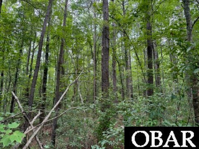 1580 Tulls Creek Road, Moyock, NC 27958, ,Lots/land,For sale,Tulls Creek Road,126764