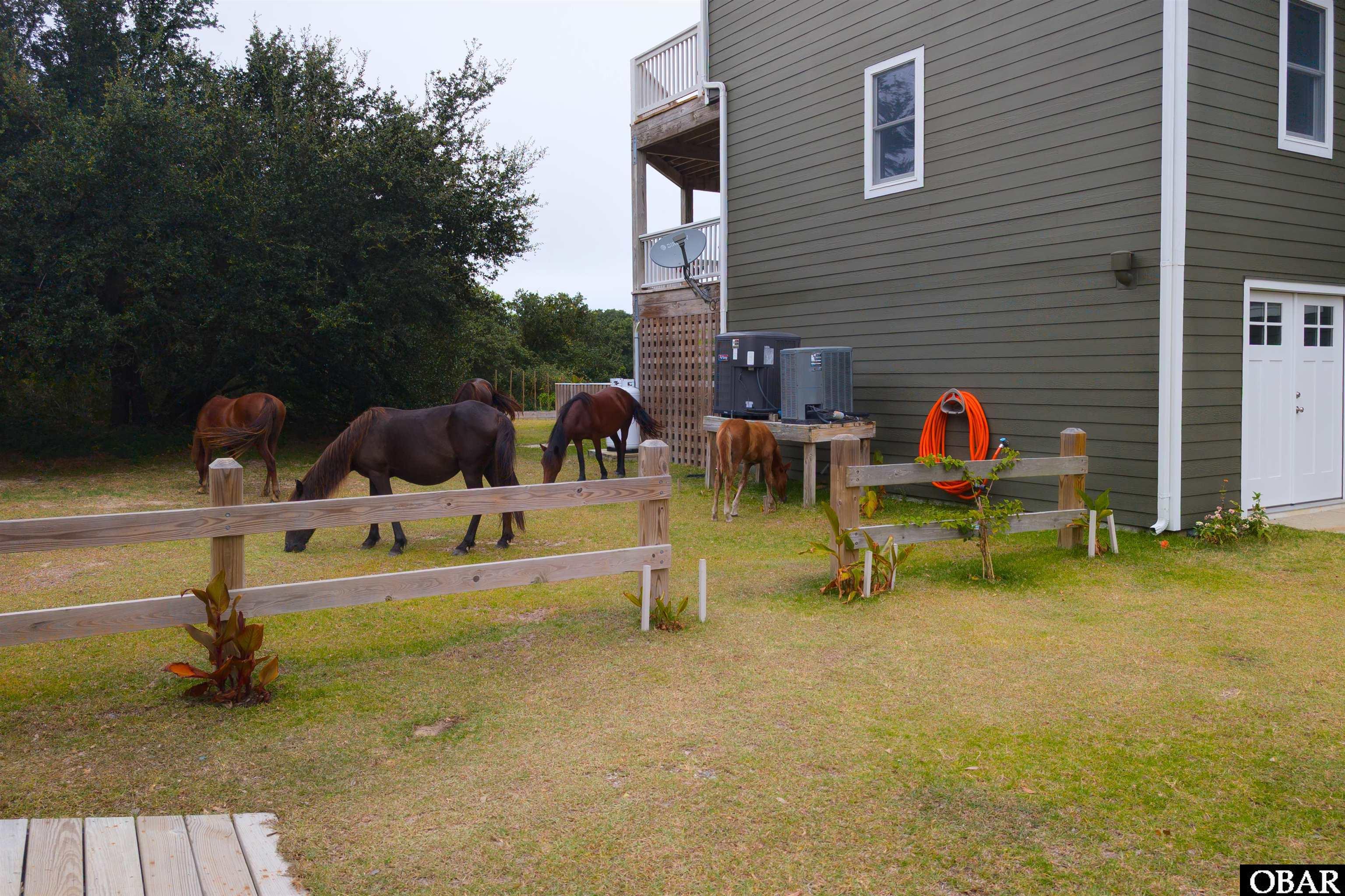 503 Bonita Lane, Corolla, NC 27927, 5 Bedrooms Bedrooms, ,4 BathroomsBathrooms,Residential,For sale,Bonita Lane,126829