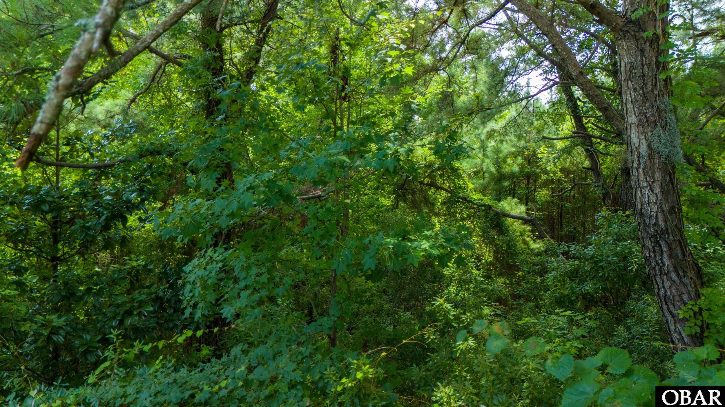 0 Country Estates Road, Columbia, NC 27925, ,Lots/land,For sale,Country Estates Road,126875