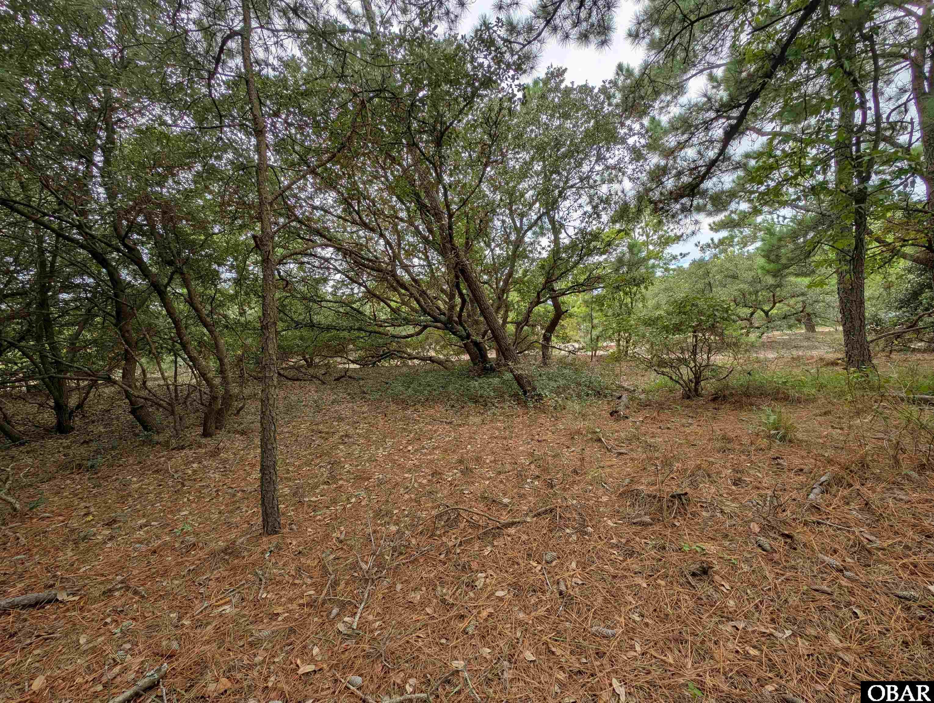 2207 Teal Road, Corolla, NC 27927, ,Lots/land,For sale,Teal Road,126959