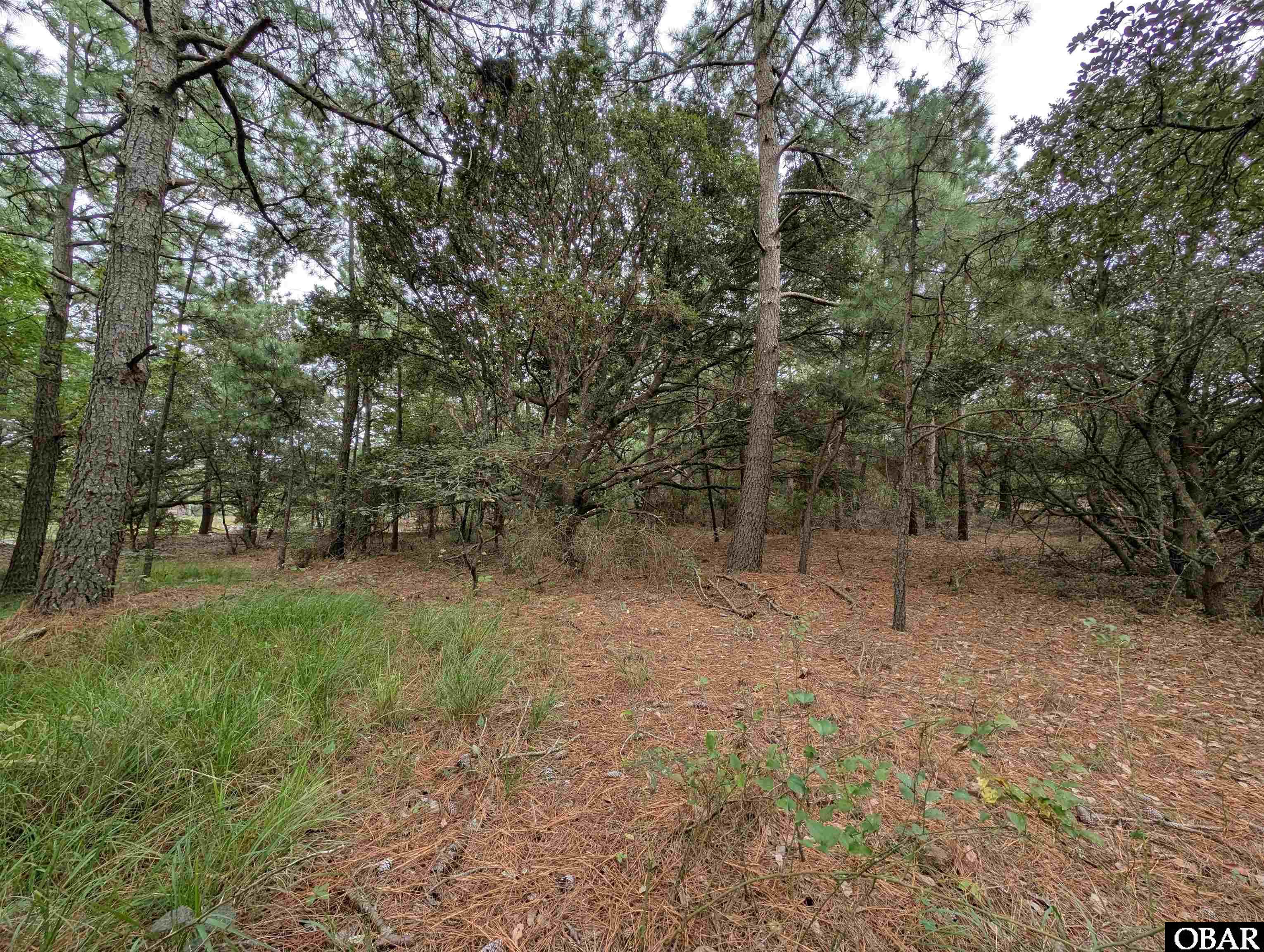 2207 Teal Road, Corolla, NC 27927, ,Lots/land,For sale,Teal Road,126959