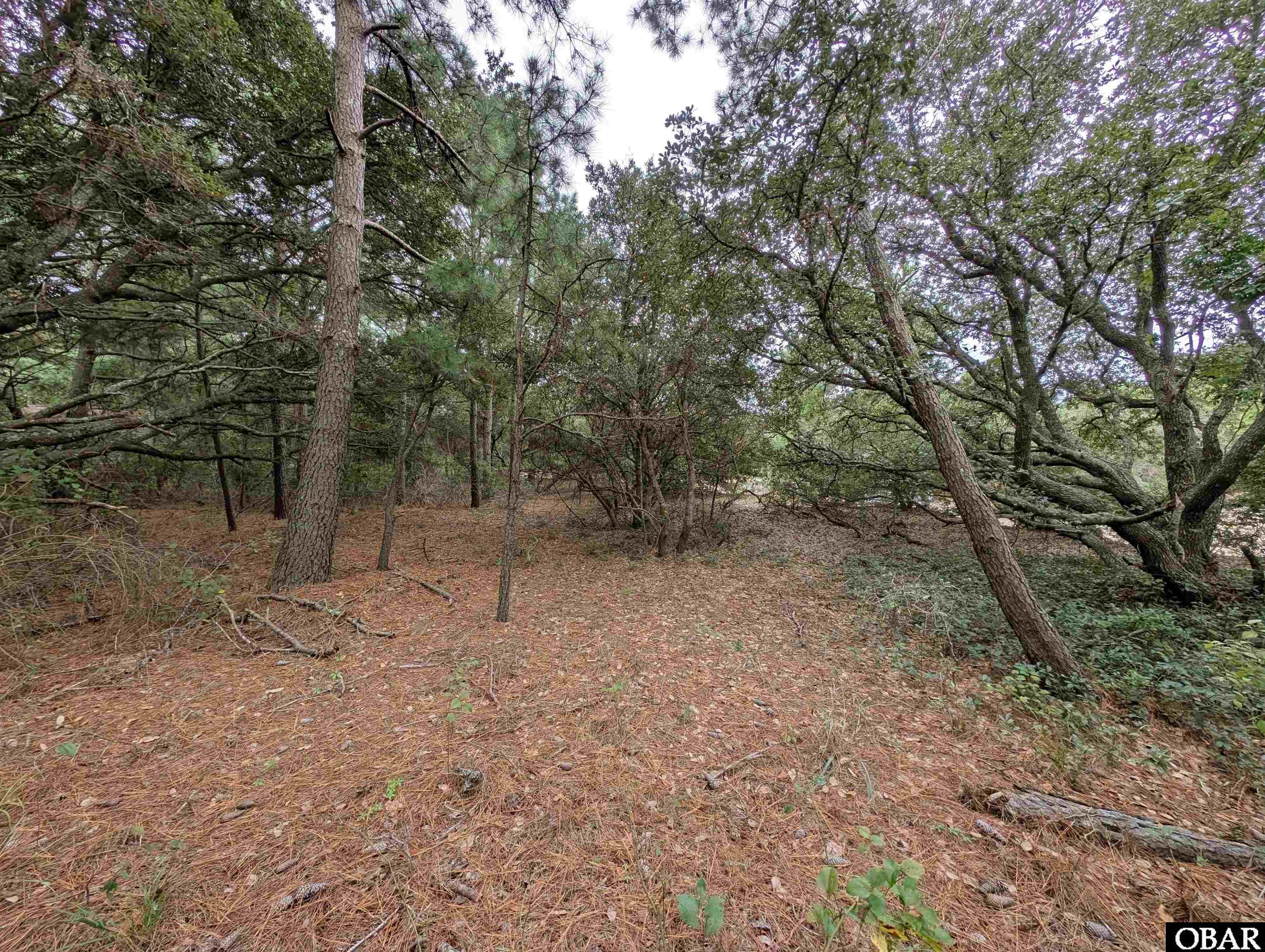 2207 Teal Road, Corolla, NC 27927, ,Lots/land,For sale,Teal Road,126959