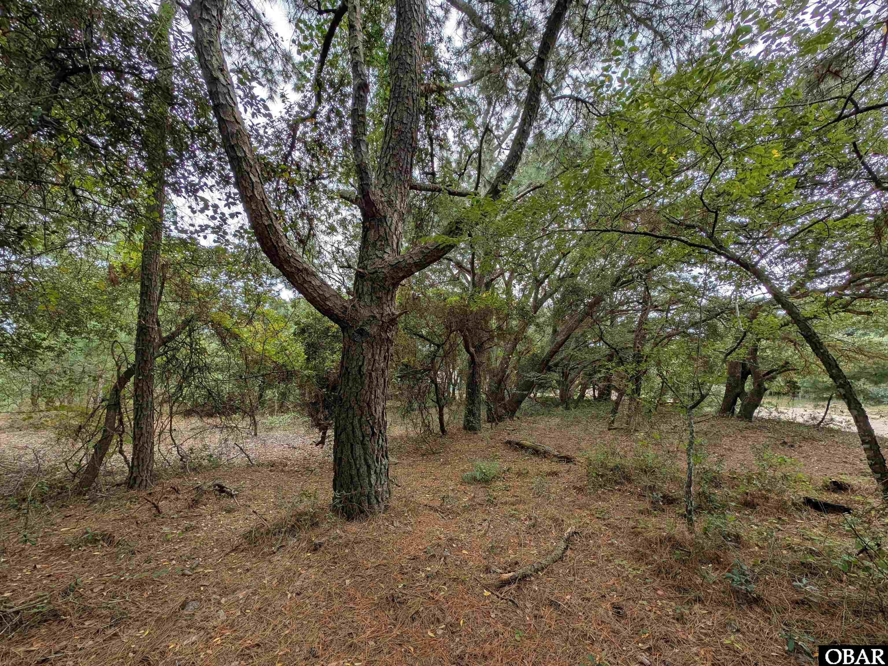 2243 Teal Road, Corolla, NC 27927, ,Lots/land,For sale,Teal Road,126960