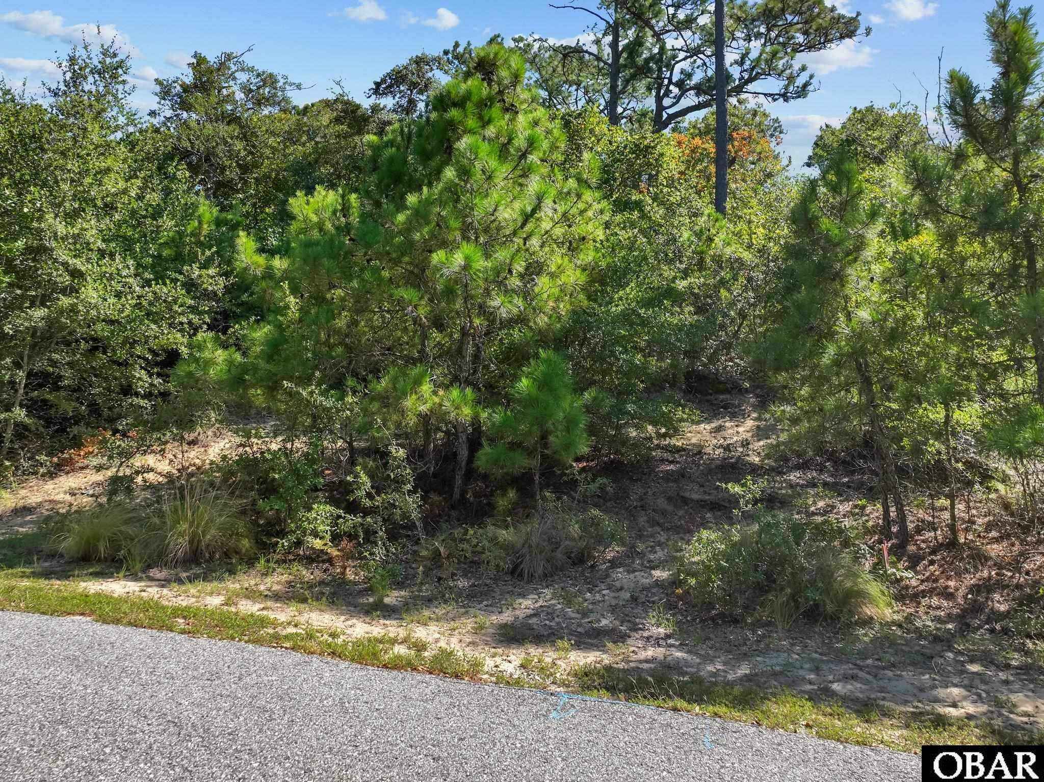 113 Old Holly Lane, Kill Devil Hills, NC 27948, ,Lots/land,For sale,Old Holly Lane,127012