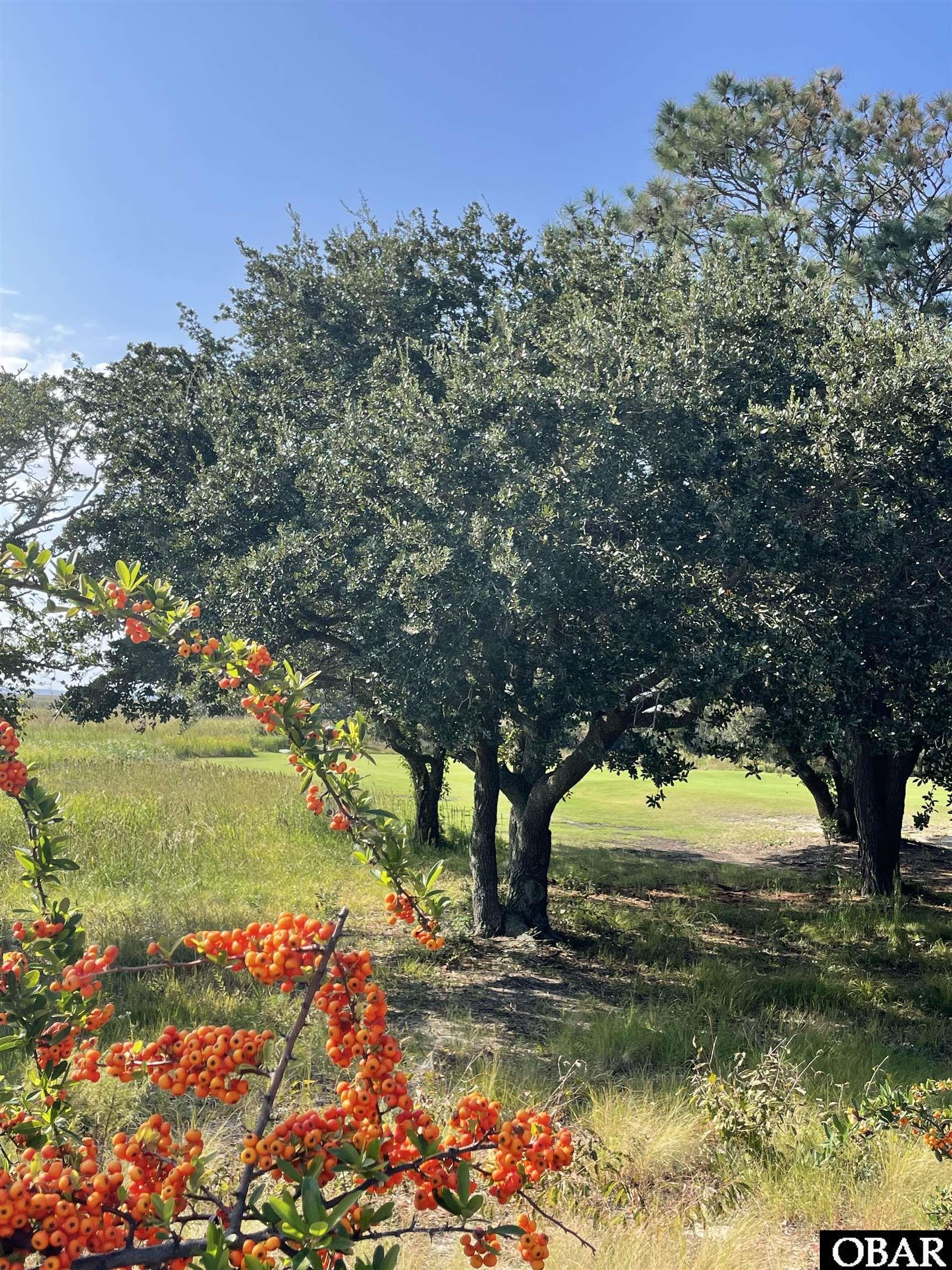 688 Hunt Club Drive, Corolla, NC 27927, ,Lots/land,For sale,Hunt Club Drive,127015