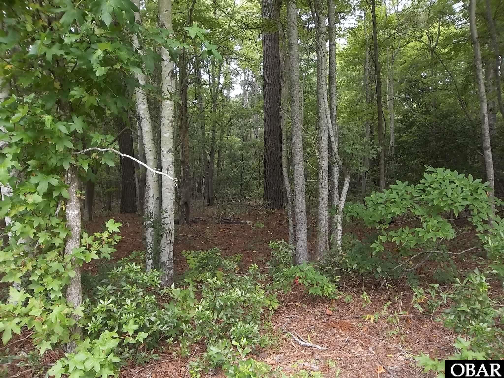 TBD North River Landing Road, Grandy, NC MLS 127077 For Sale Joe