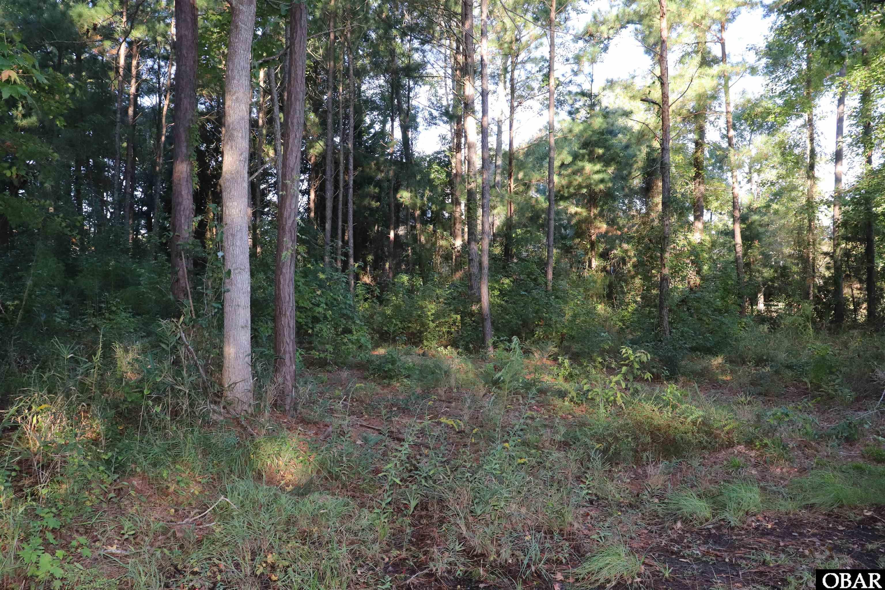 15 Ginguite Trail, Southern Shores, NC 27949, ,Lots/land,For sale,Ginguite Trail,127131