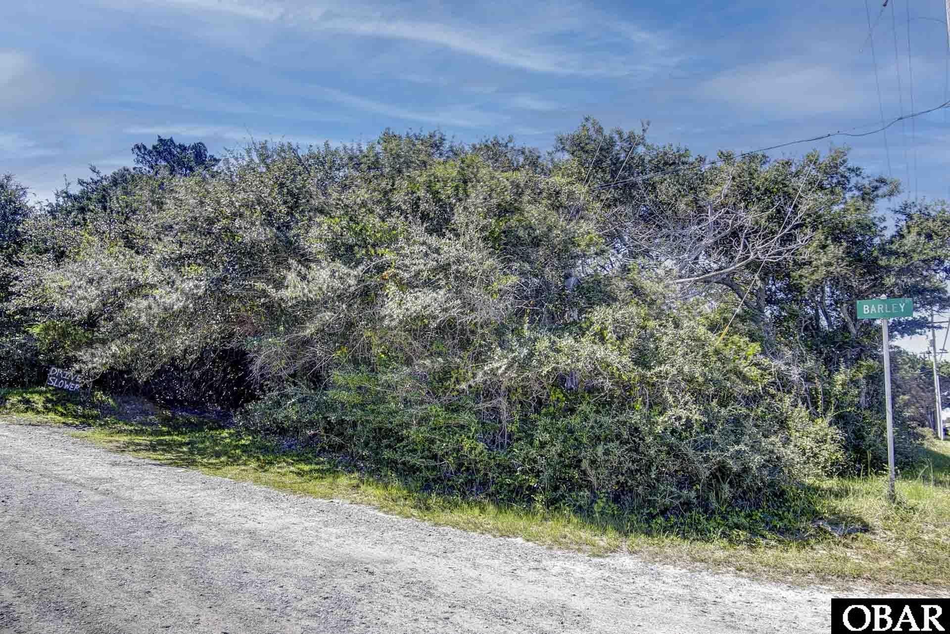 48206 Barley Lane, Buxton, NC 27920, ,Lots/land,For sale,Barley Lane,127147