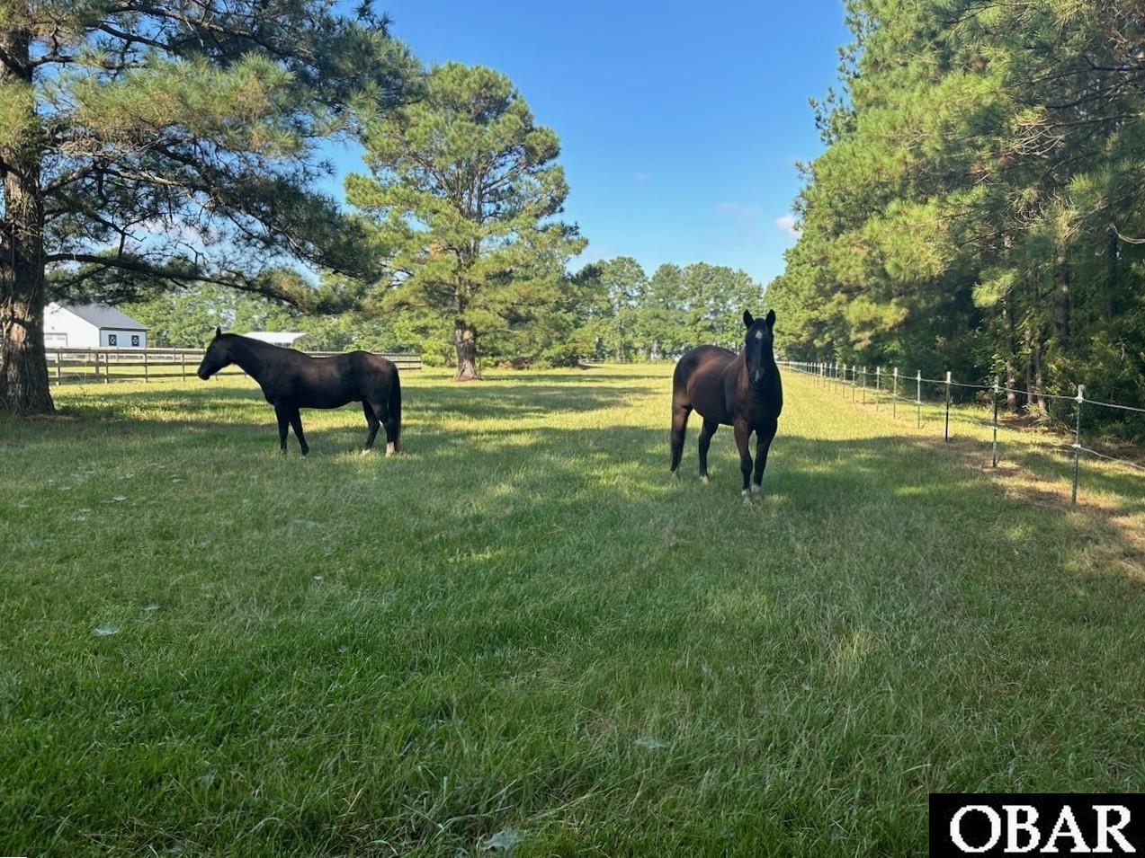 220 Old Jury Road, Moyock, NC 27958, 4 Bedrooms Bedrooms, ,3 BathroomsBathrooms,Residential,For sale,Old Jury Road,127187