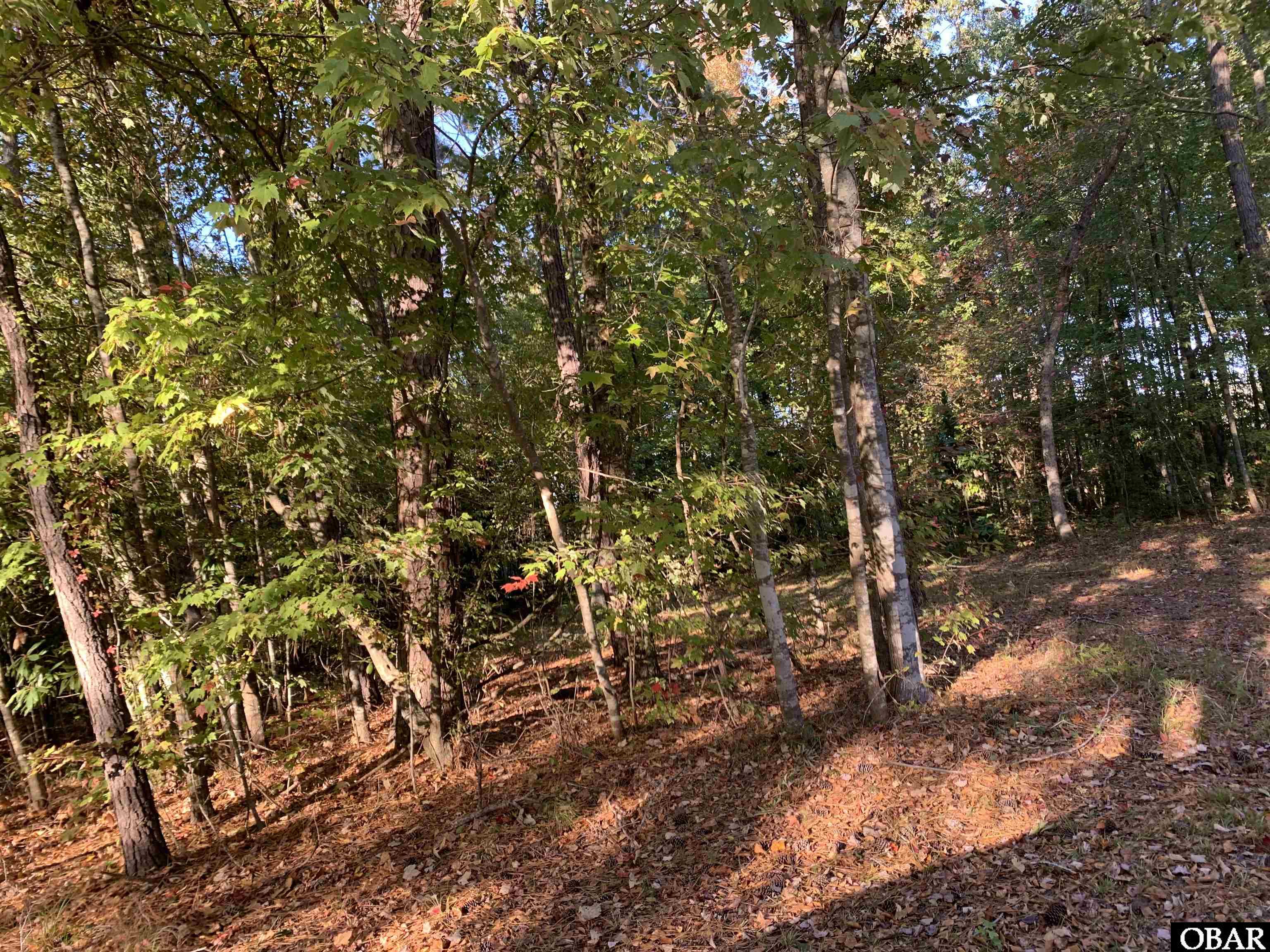 106 Bay Roads Lane, Shiloh, NC 27974, ,Lots/land,For sale,Bay Roads Lane,127215