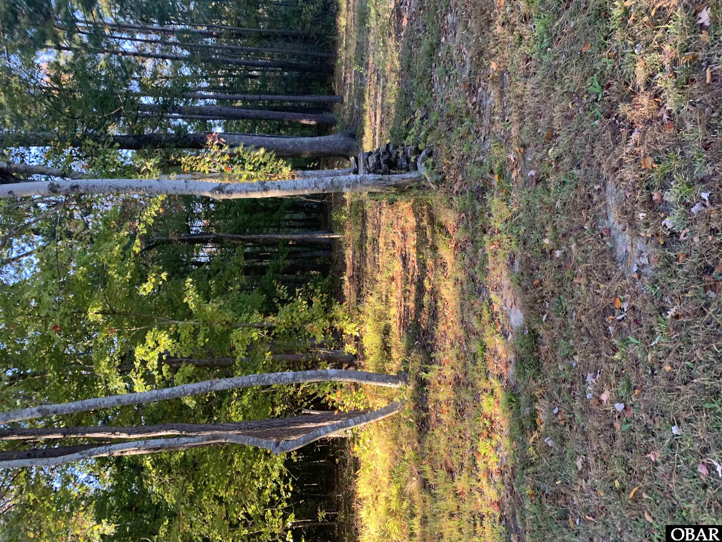 106 Bay Roads Lane, Shiloh, NC 27974, ,Lots/land,For sale,Bay Roads Lane,127215