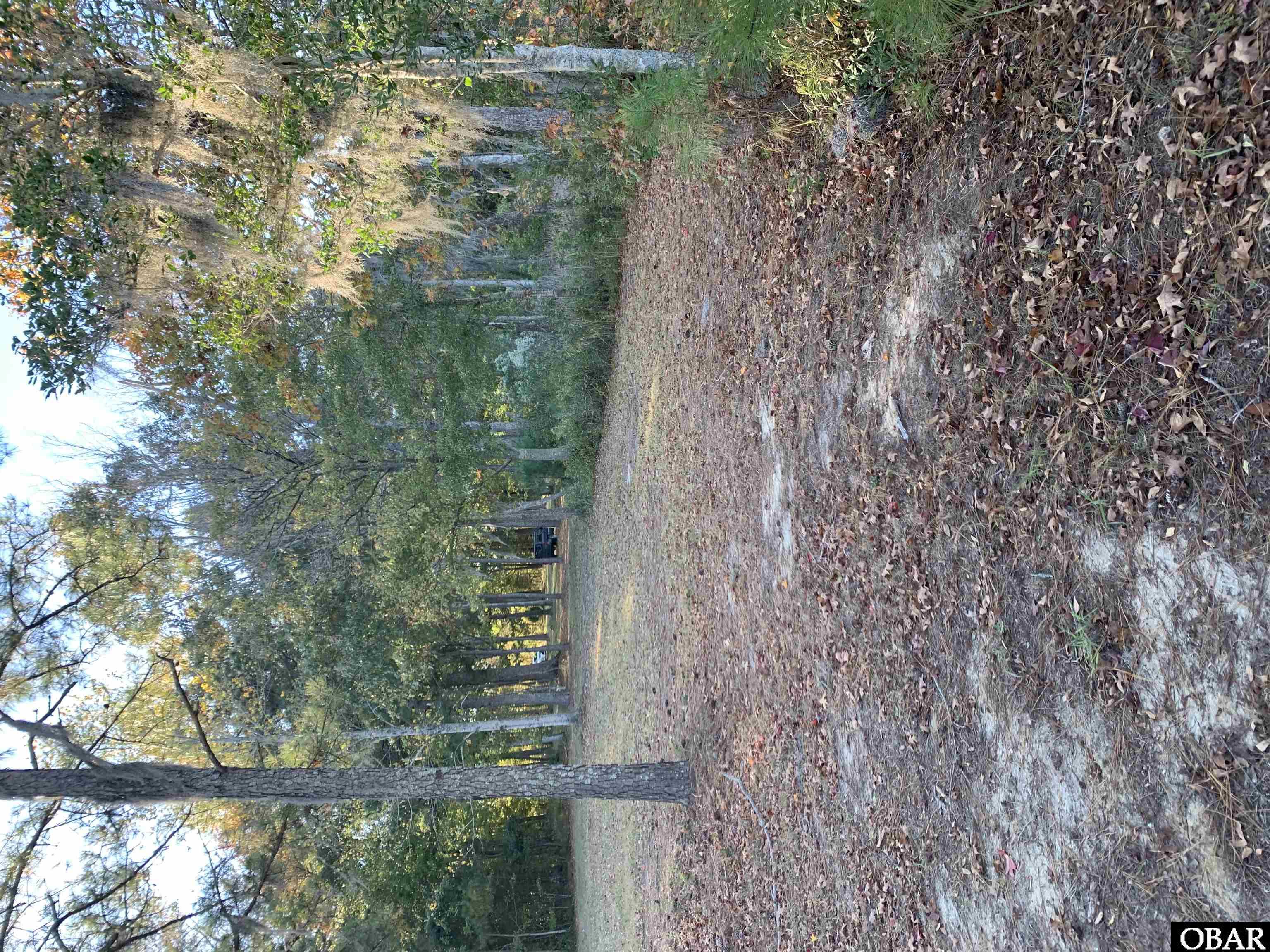 106 Bay Roads Lane, Shiloh, NC 27974, ,Lots/land,For sale,Bay Roads Lane,127215