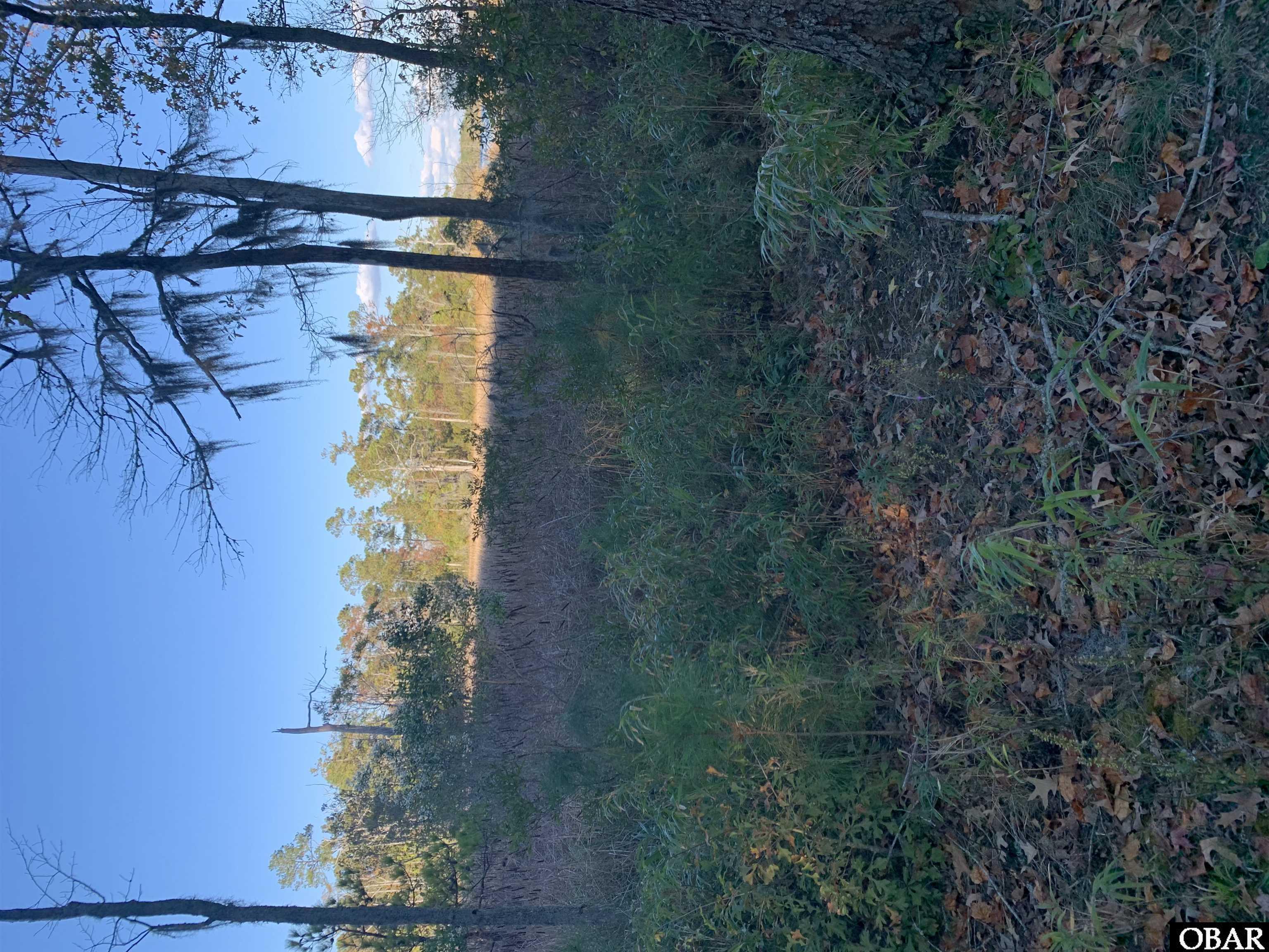 106 Bay Roads Lane, Shiloh, NC 27974, ,Lots/land,For sale,Bay Roads Lane,127215