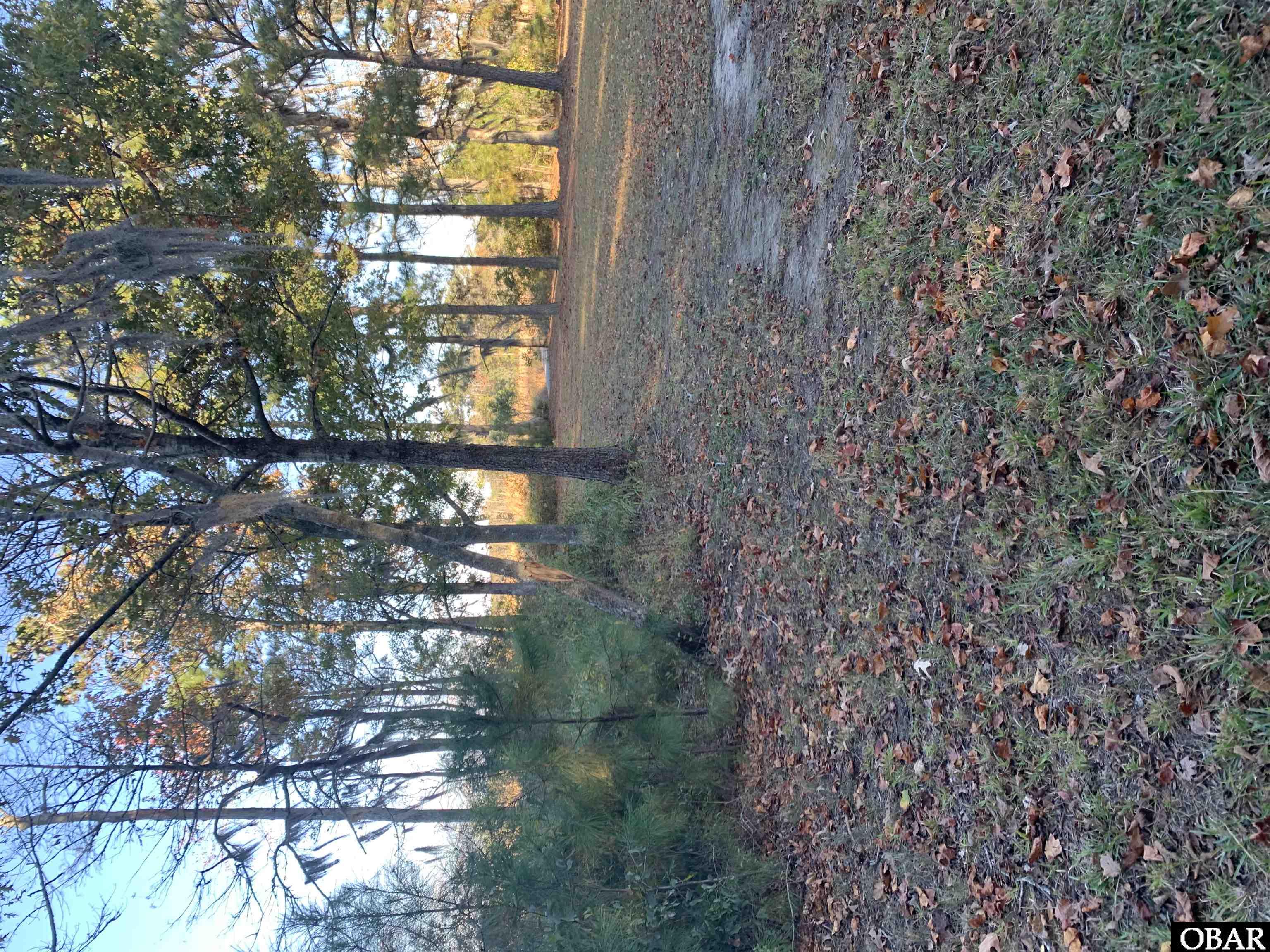 106 Bay Roads Lane, Shiloh, NC 27974, ,Lots/land,For sale,Bay Roads Lane,127215