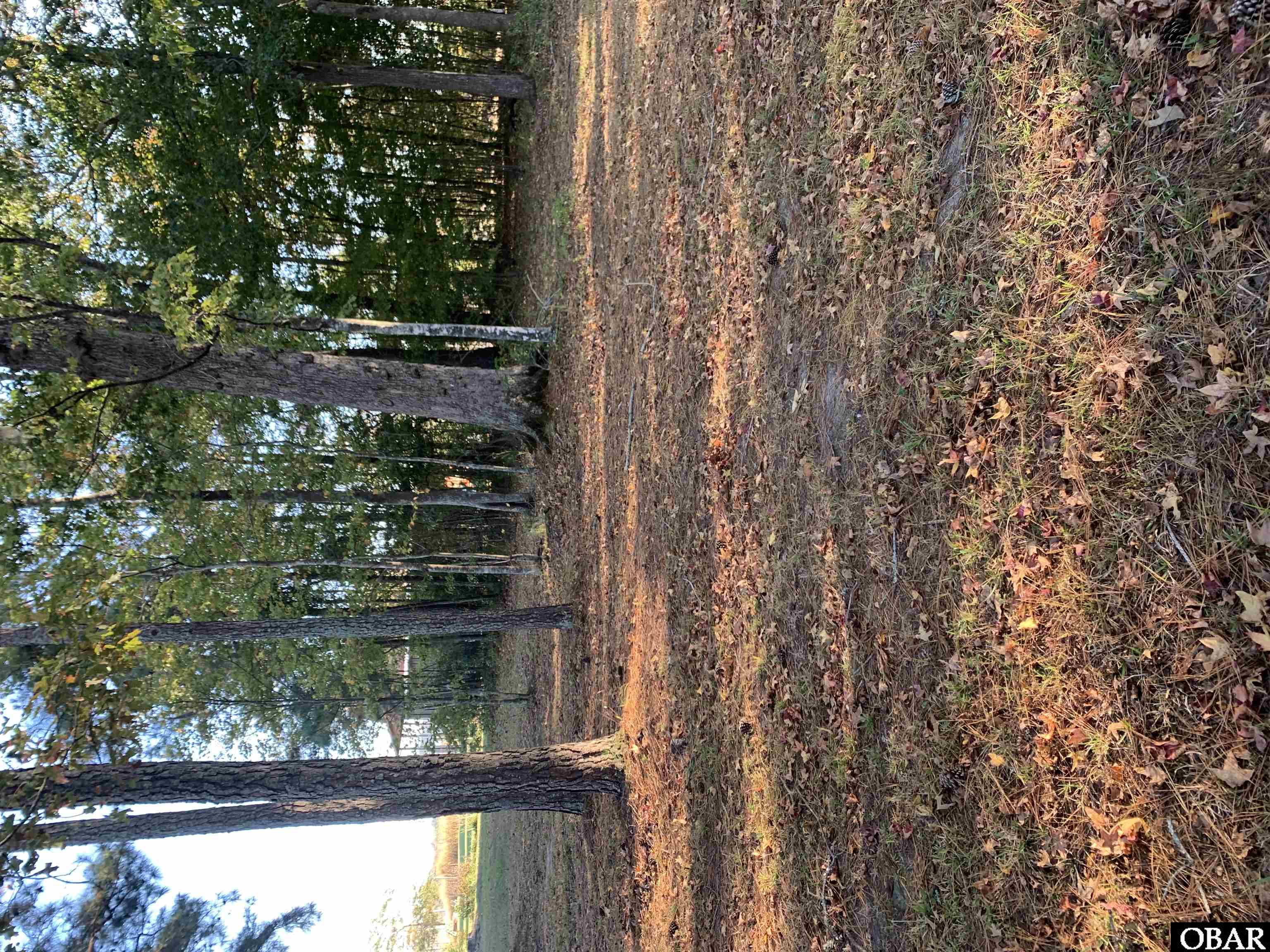 106 Bay Roads Lane, Shiloh, NC 27974, ,Lots/land,For sale,Bay Roads Lane,127215