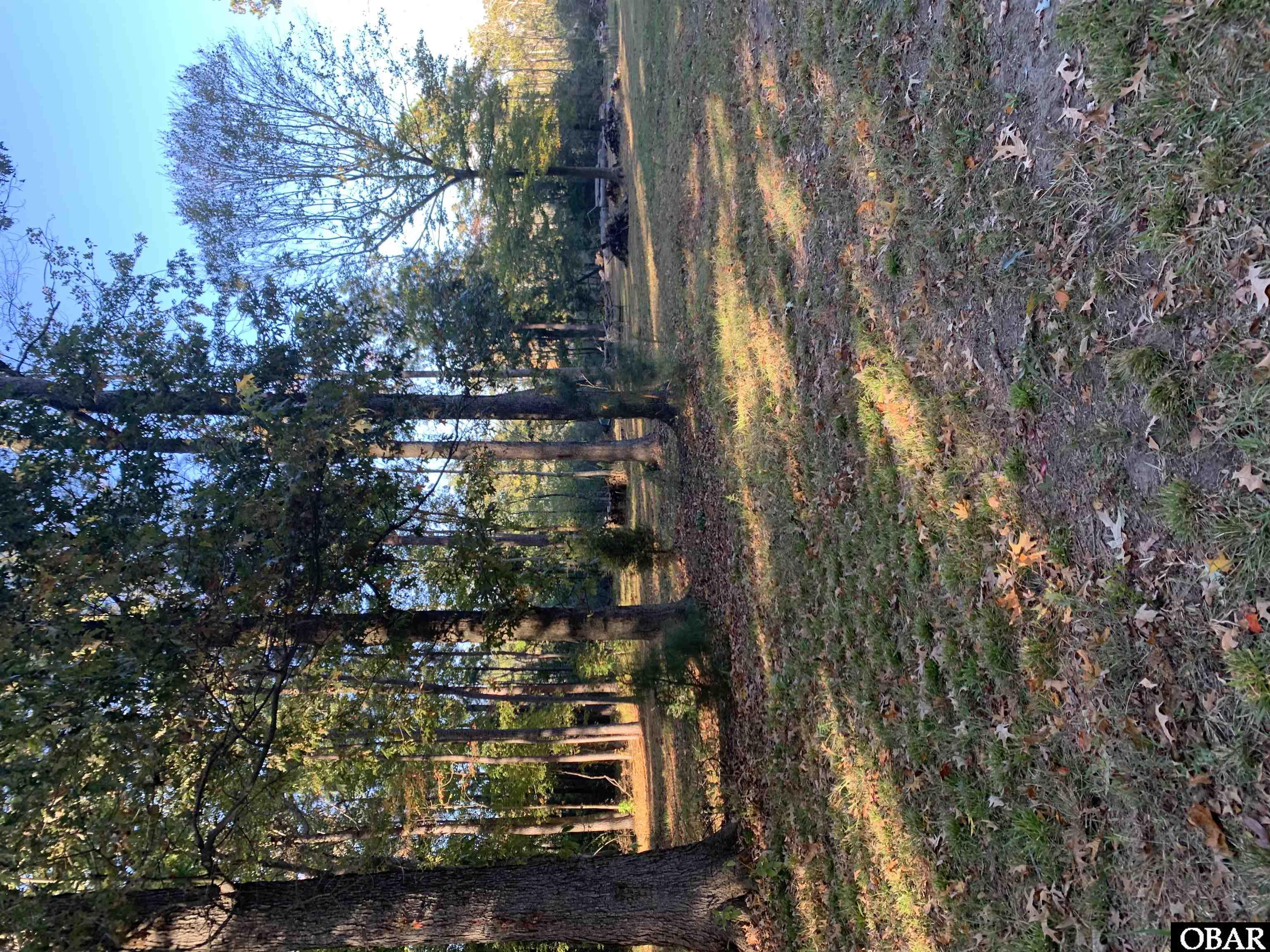 106 Bay Roads Lane, Shiloh, NC 27974, ,Lots/land,For sale,Bay Roads Lane,127215