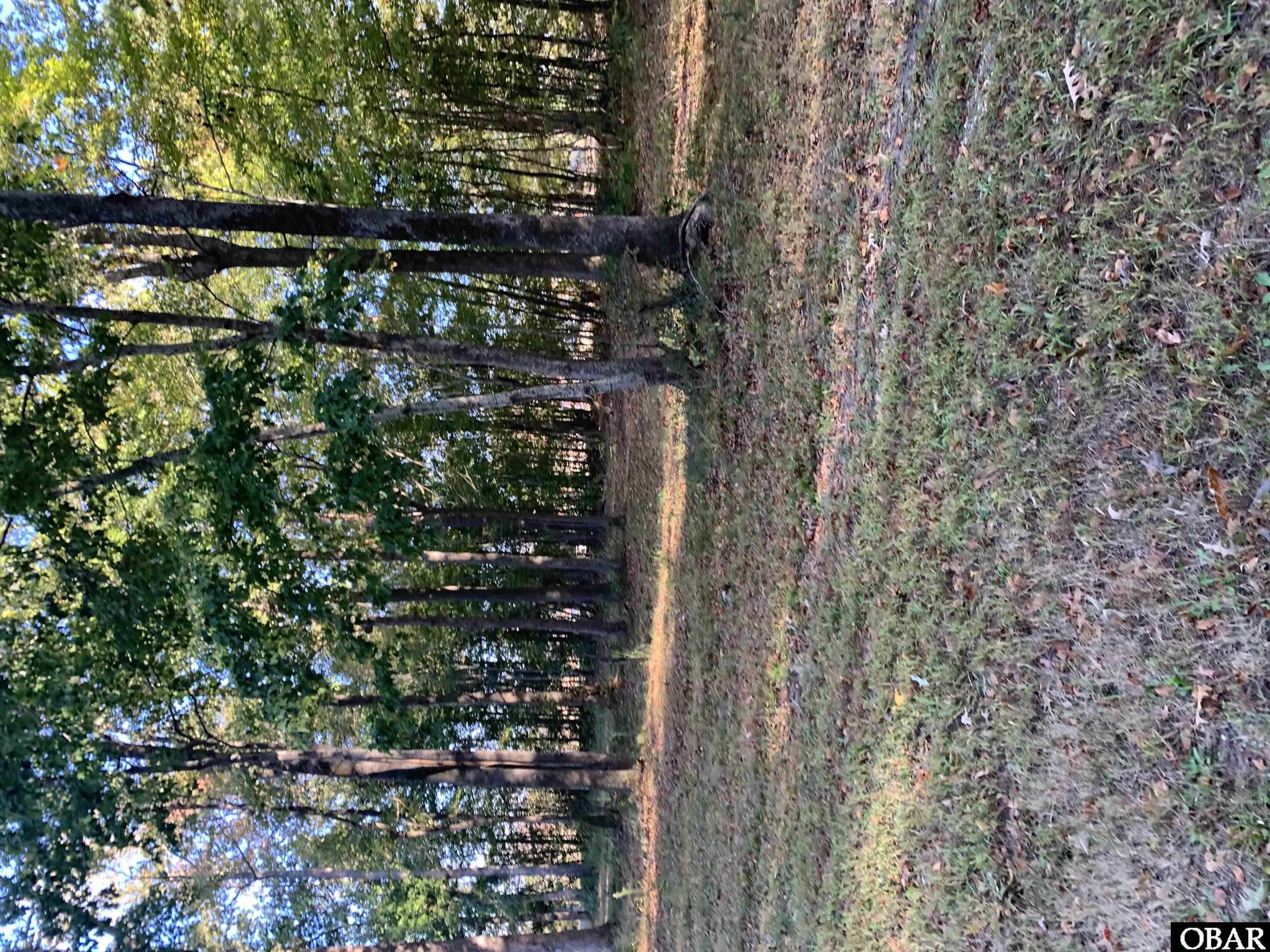 106 Bay Roads Lane, Shiloh, NC 27974, ,Lots/land,For sale,Bay Roads Lane,127215