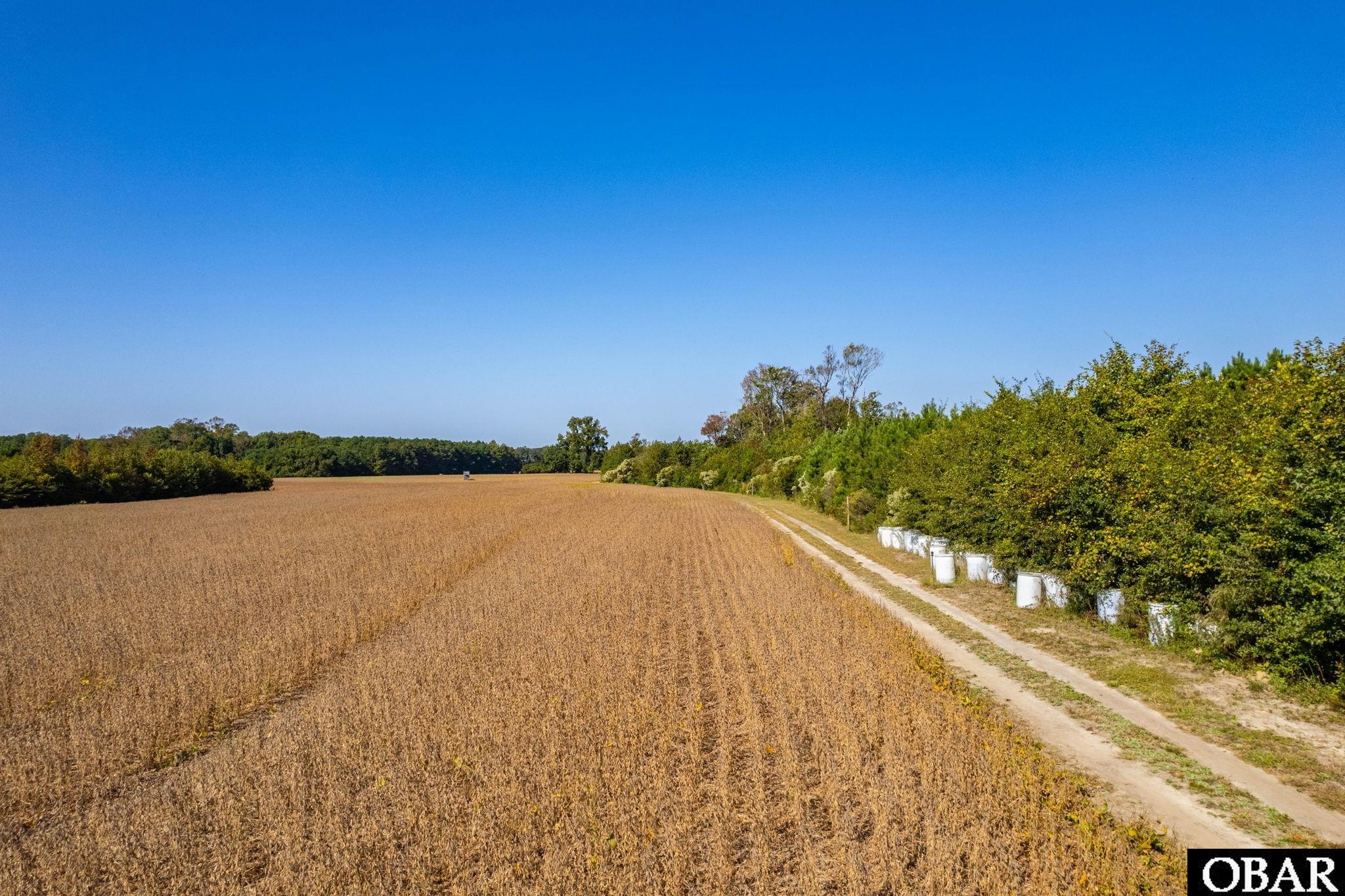 Caratoke Highway, Poplar Branch, NC 27939, ,Lots/land,For sale,Caratoke Highway,127231