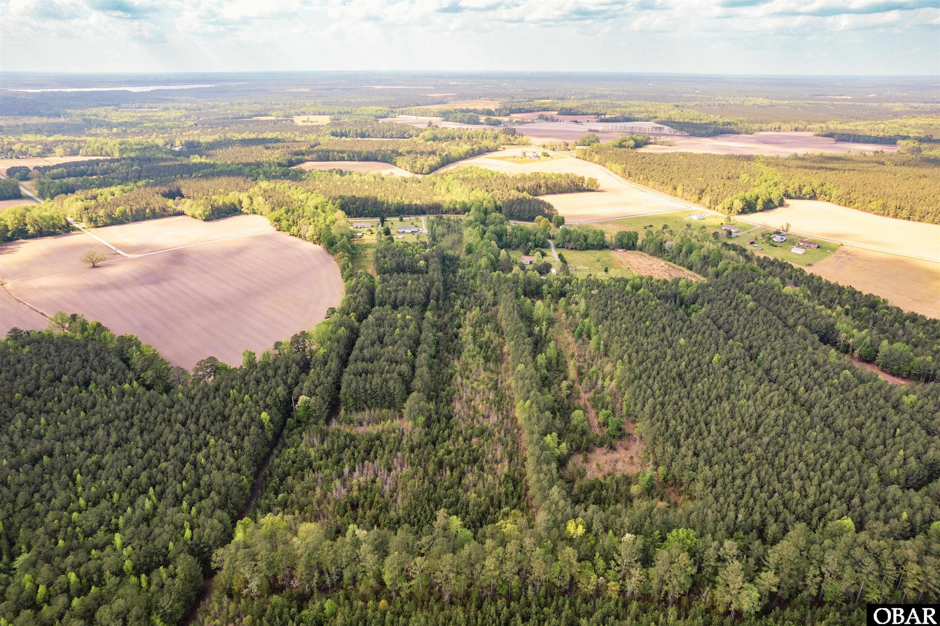 54 Sawyer Road, Gates, NC 27937, ,Lots/land,For sale,Sawyer Road,127249