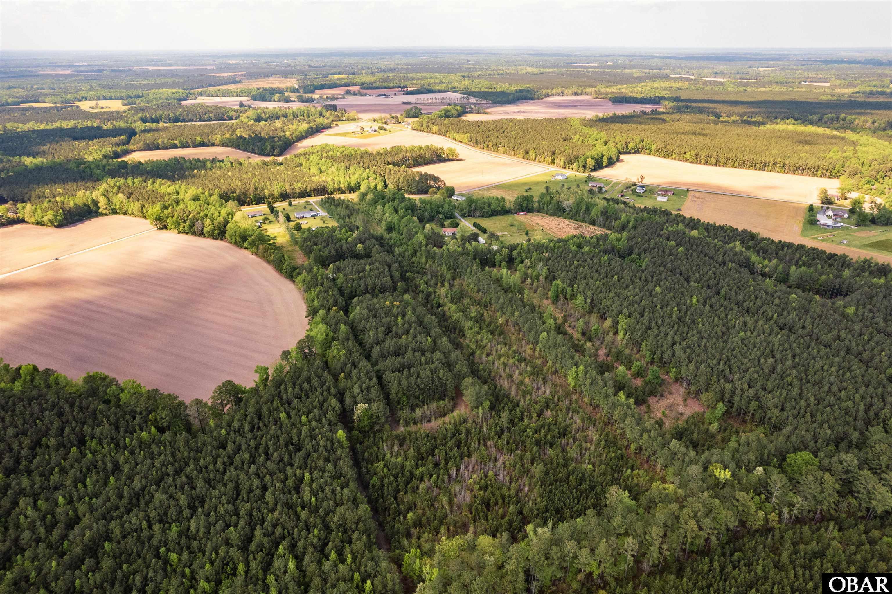 54 Sawyer Road, Gates, NC 27937, ,Lots/land,For sale,Sawyer Road,127249