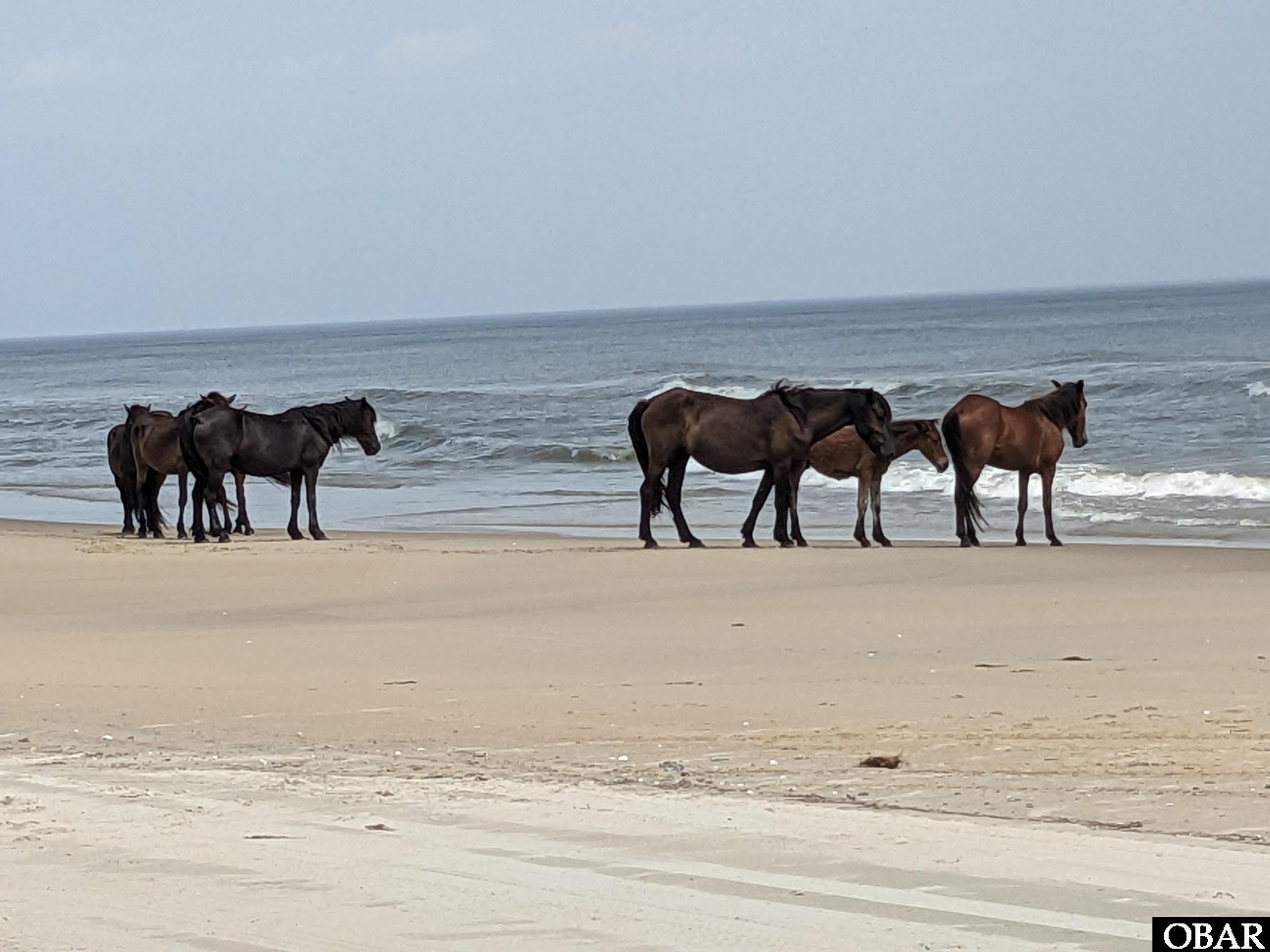 2014 Ocean Pearl Road, Corolla, NC 27927, ,Lots/land,For sale,Ocean Pearl Road,127256