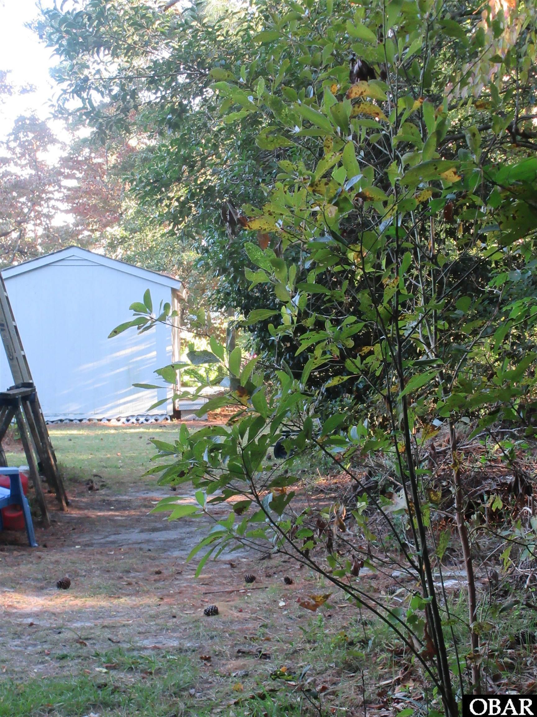 PROPERTY LINE EAST SIDE/VIEW