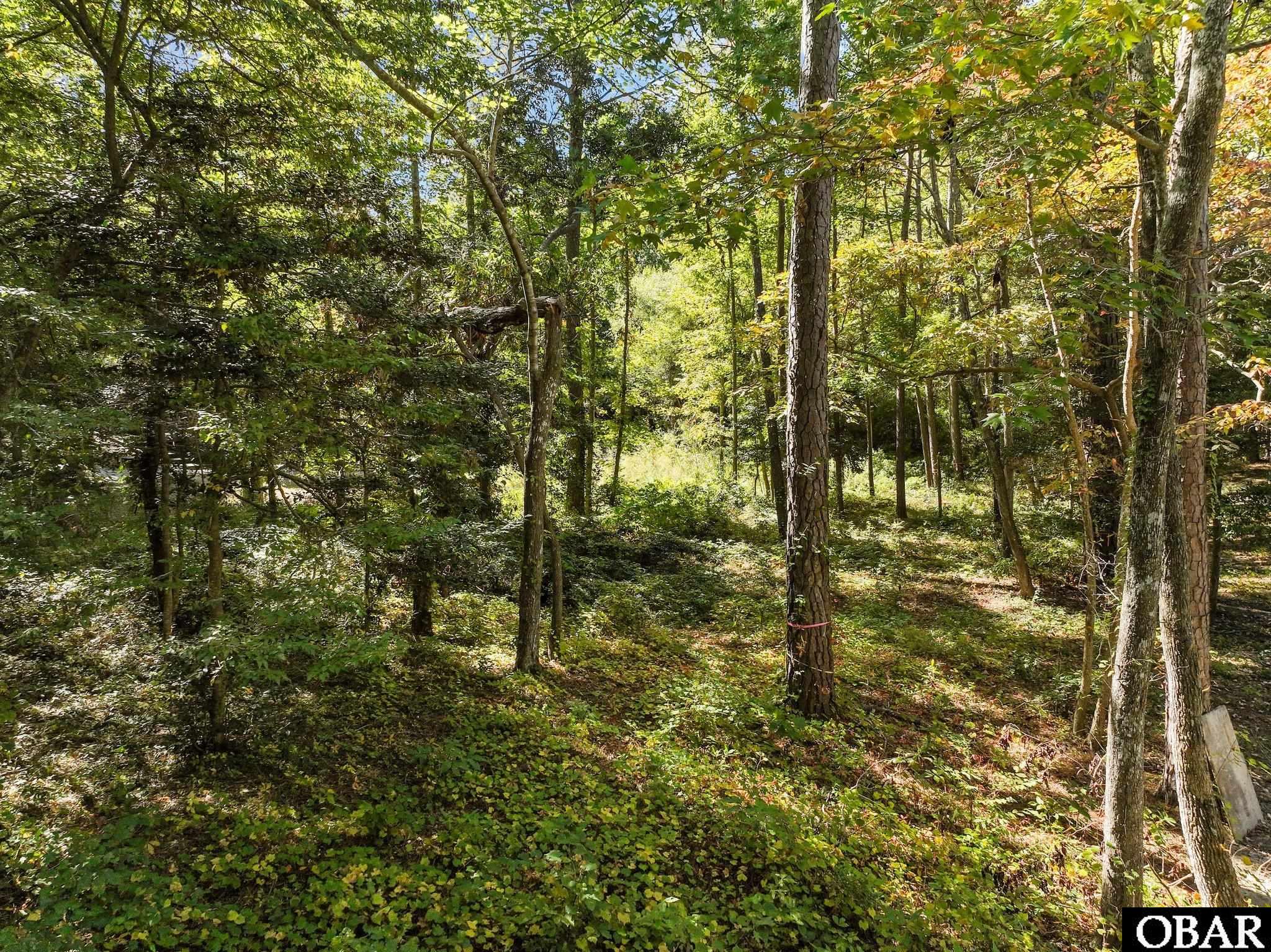 1643 Wood Duck Lane, Kill Devil Hills, NC 27948, ,Lots/land,For sale,Wood Duck Lane,127358