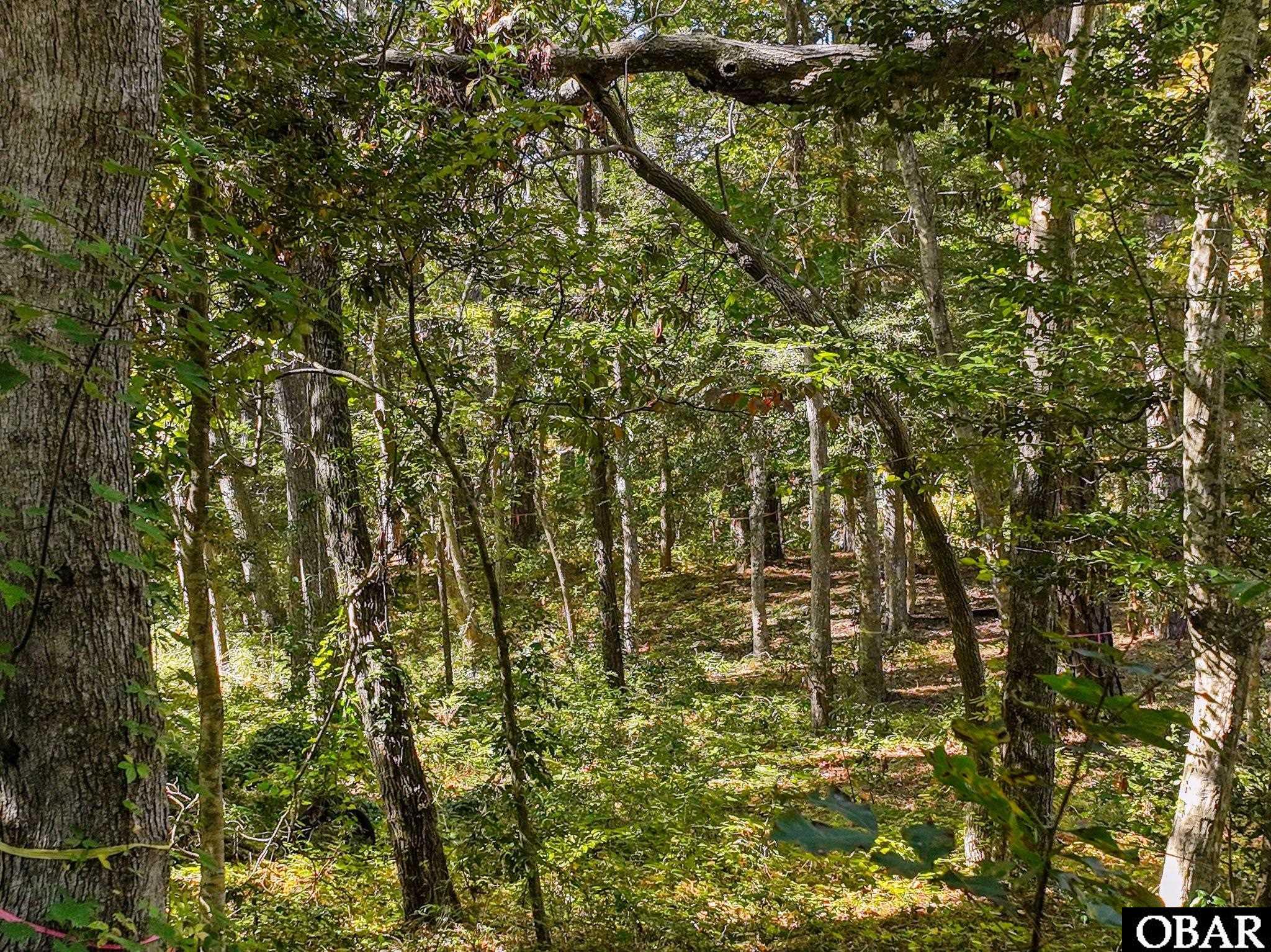 1643 Wood Duck Lane, Kill Devil Hills, NC 27948, ,Lots/land,For sale,Wood Duck Lane,127358