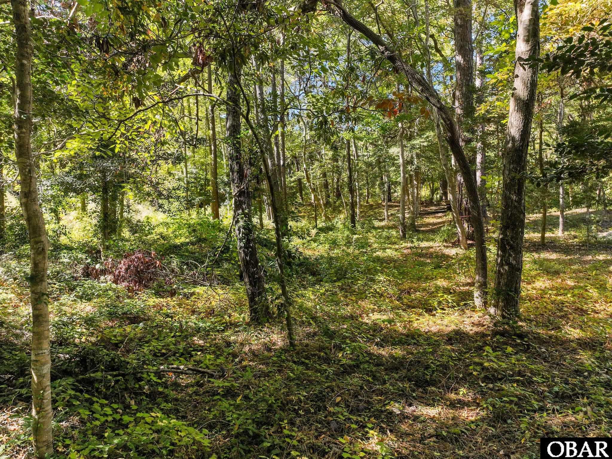 1643 Wood Duck Lane, Kill Devil Hills, NC 27948, ,Lots/land,For sale,Wood Duck Lane,127358