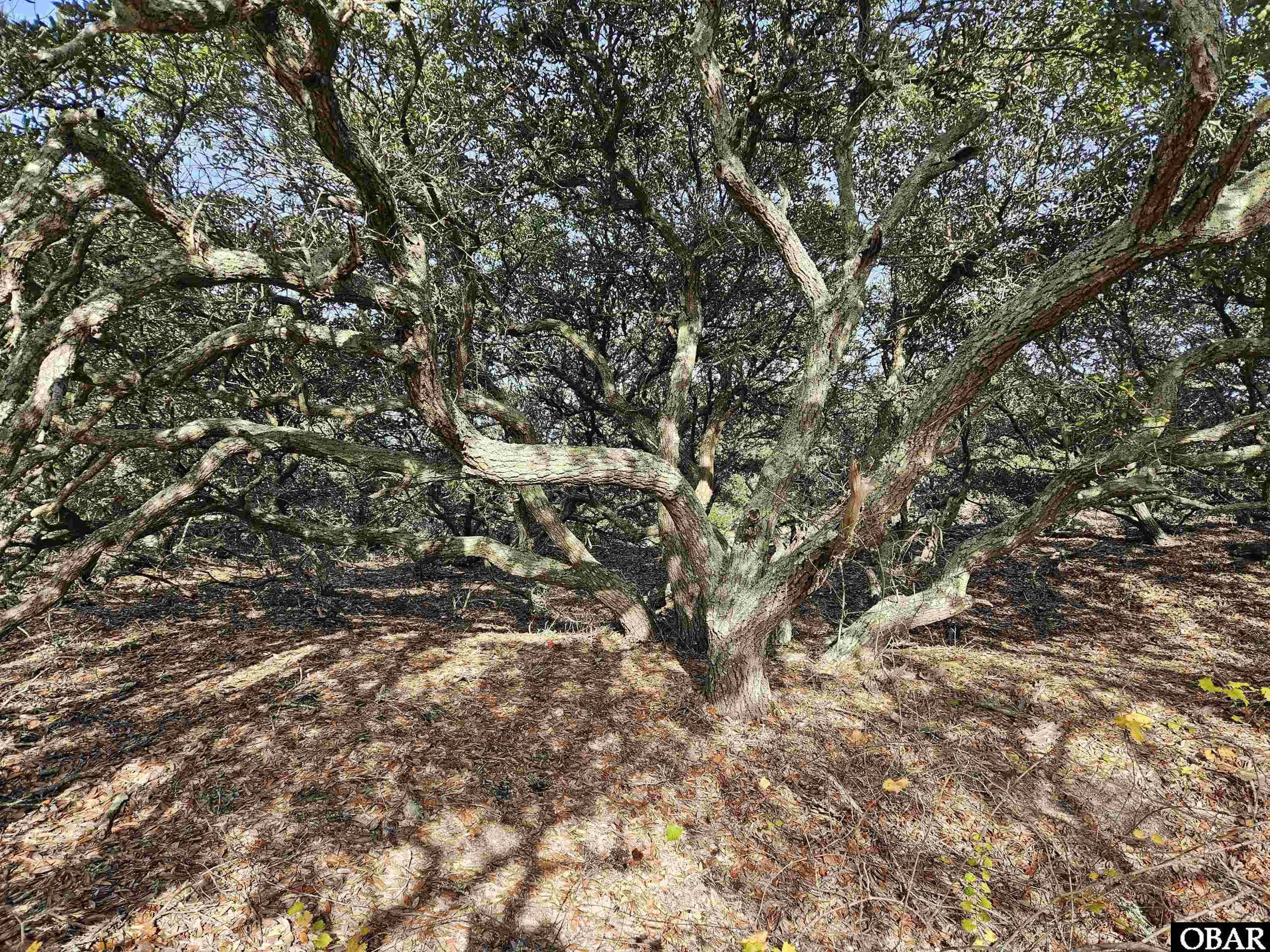 510 Albatross Lane, Corolla, NC 27927, ,Lots/land,For sale,Albatross Lane,127416