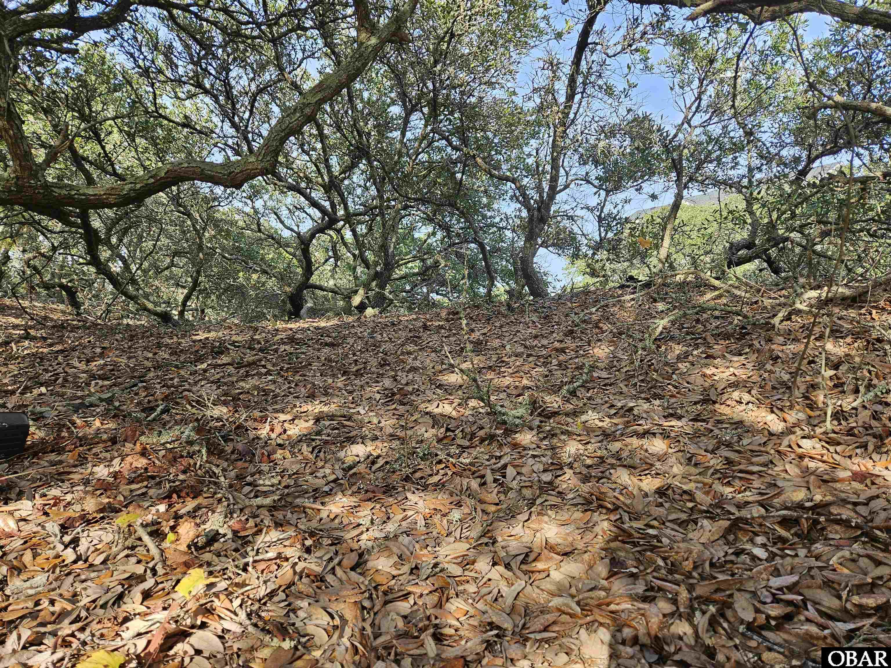 510 Albatross Lane, Corolla, NC 27927, ,Lots/land,For sale,Albatross Lane,127416