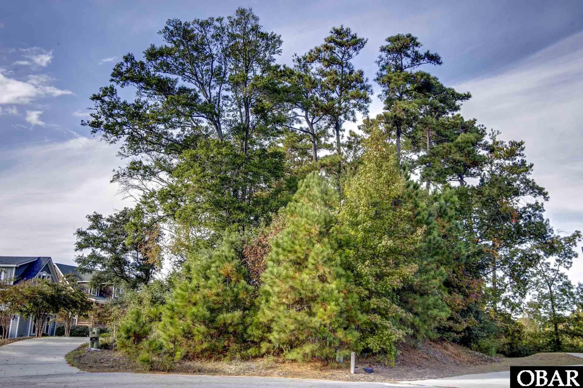 105 Kyle Court, Kill Devil Hills, NC 27948, ,Lots/land,For sale,Kyle Court,127436