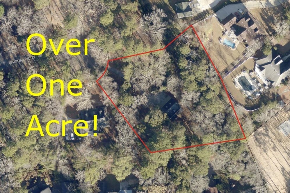 116 Twisted Tree Court Lot#493A