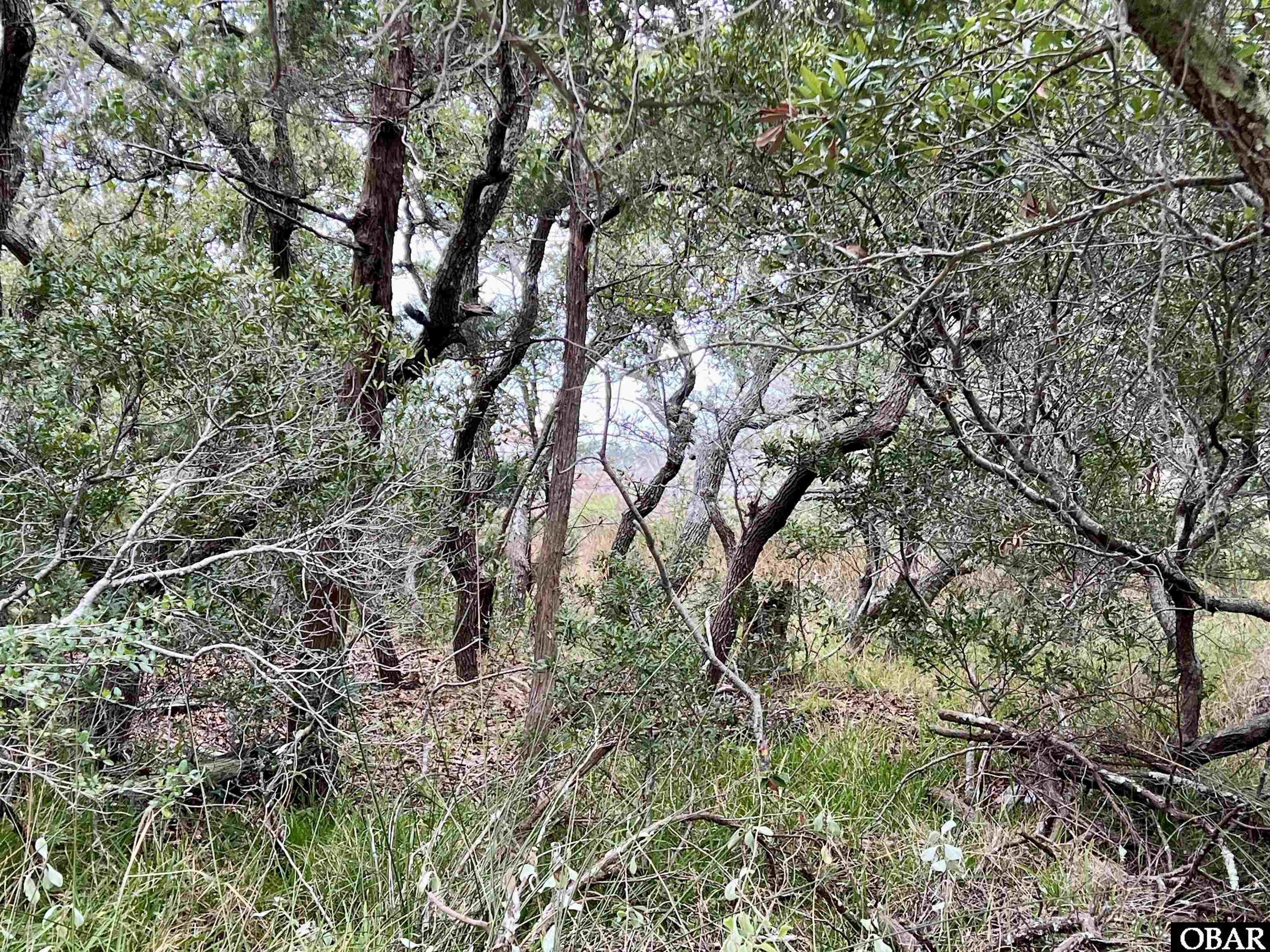 0 Eagle Pass Road, Hatteras, NC 27943, ,Lots/land,For sale,Eagle Pass Road,127484