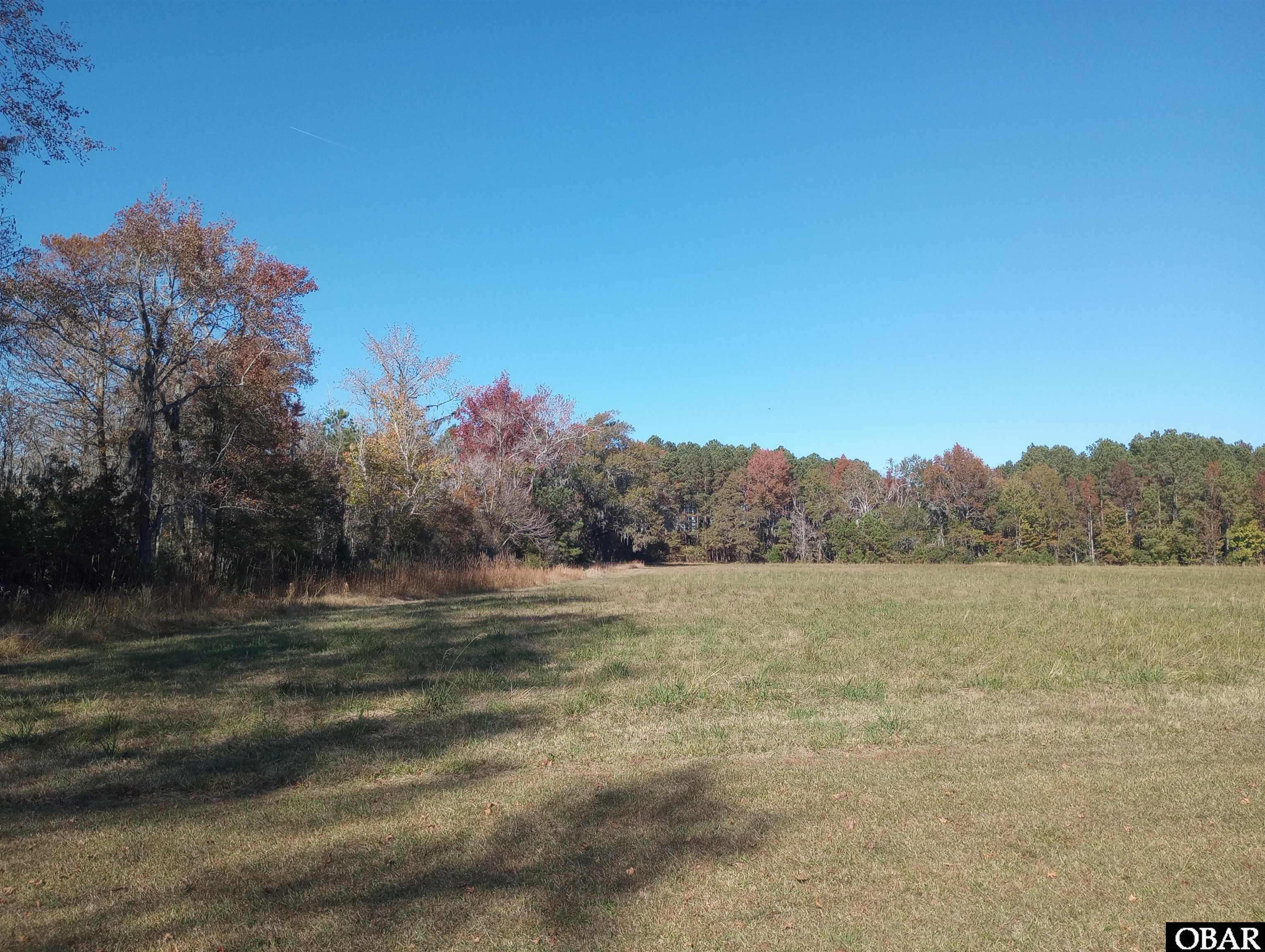 4332 Riverneck Road, Columbia, NC 27925-001, ,Lots/land,For sale,Riverneck Road,127590