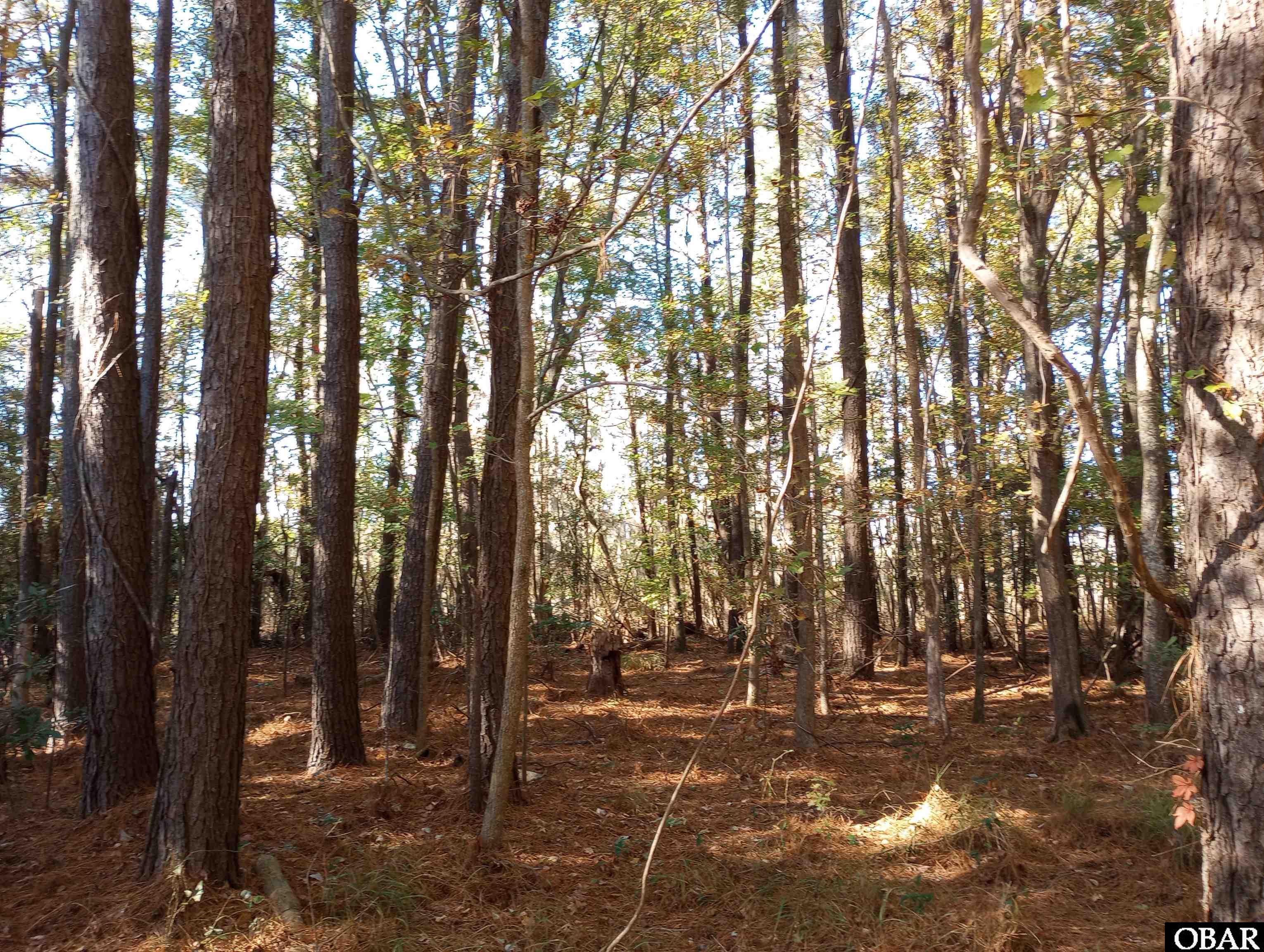 4332 Riverneck Road, Columbia, NC 27925-001, ,Lots/land,For sale,Riverneck Road,127590