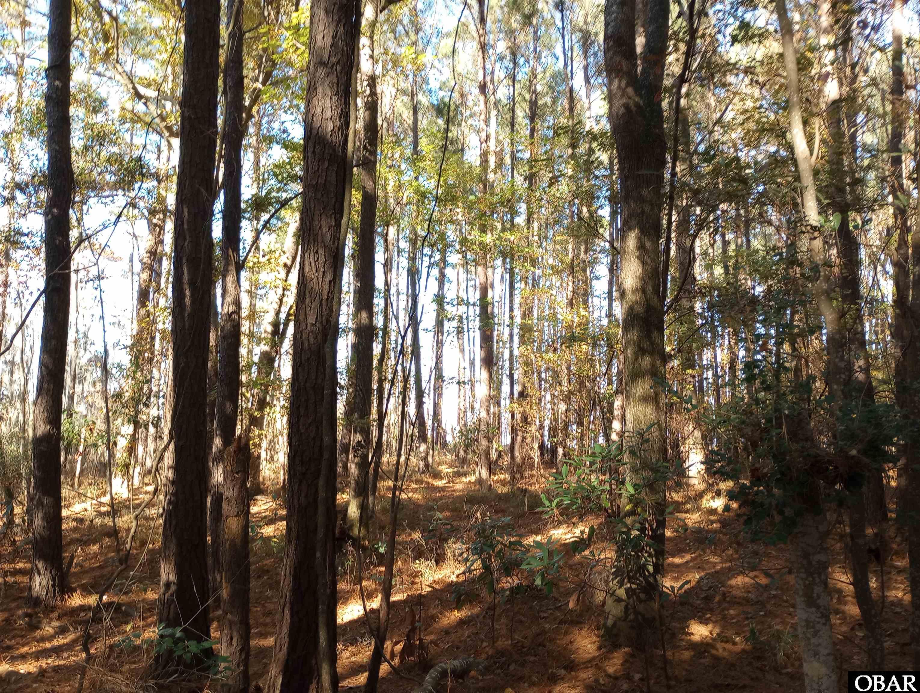 4332 Riverneck Road, Columbia, NC 27925-001, ,Lots/land,For sale,Riverneck Road,127590