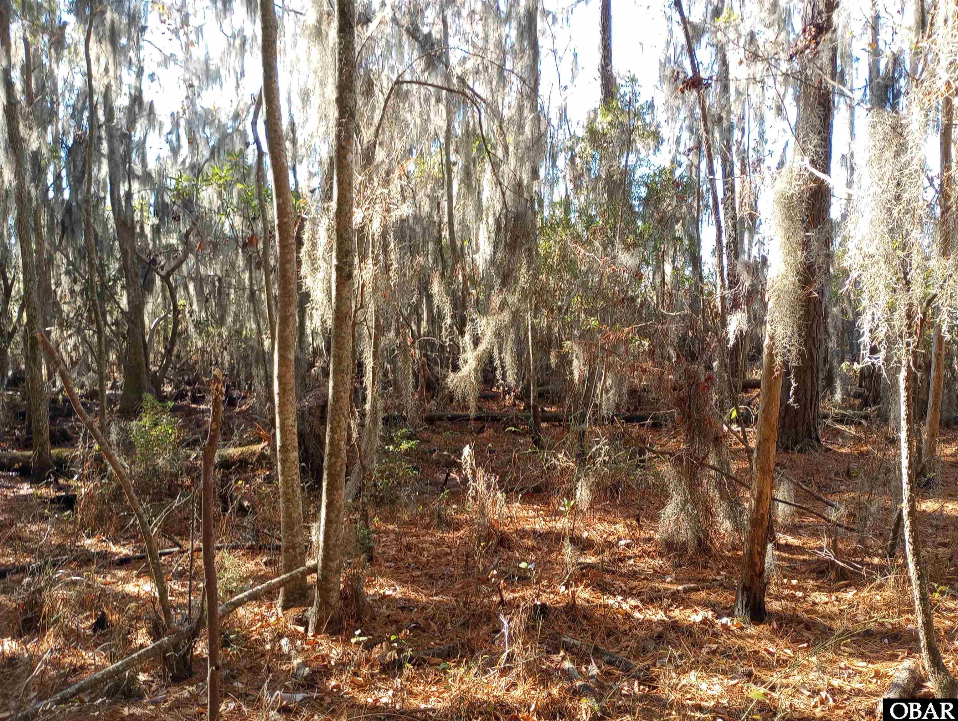 4332 Riverneck Road, Columbia, NC 27925-001, ,Lots/land,For sale,Riverneck Road,127590