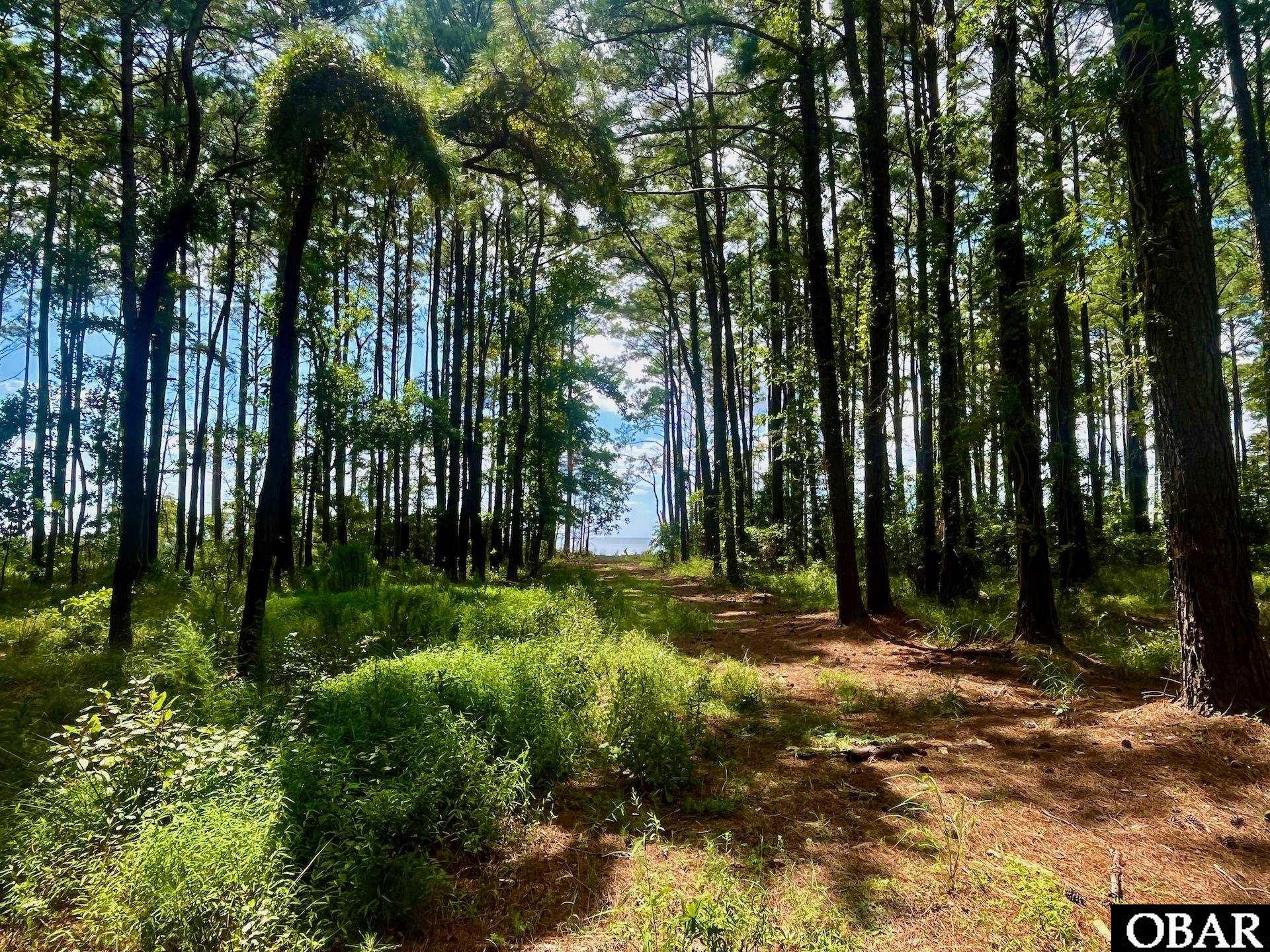 0 West Side Lane, Powells Point, NC 27966, ,Lots/land,For sale,West Side Lane,127638