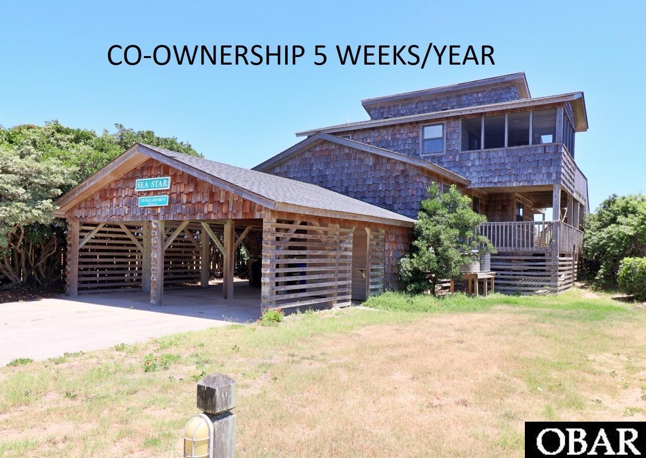 129 Mallard Drive, Duck Photo