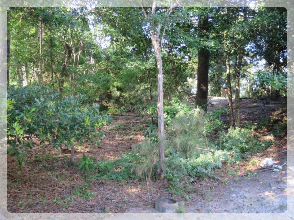 4065 Creek Road, Kitty Hawk, NC 27949, ,Lots/land,For sale,Creek Road,98545