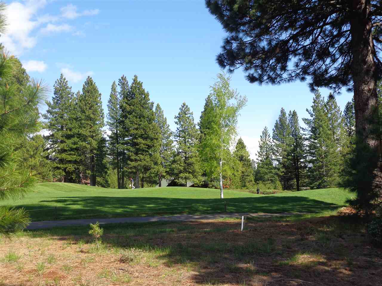 Meet Realtor Cathy Kuersten Plumas County Real Estate