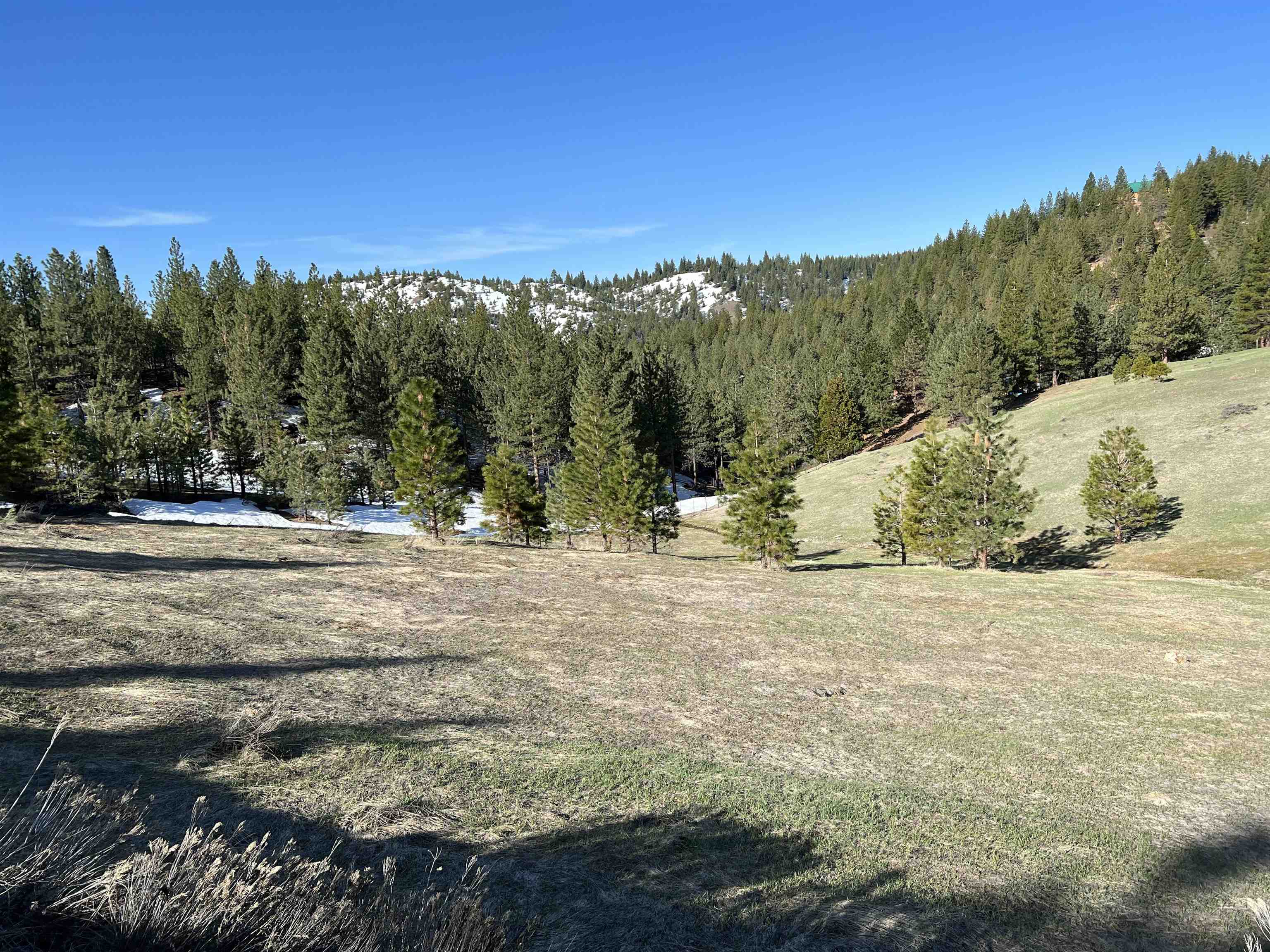 3490 Fawn Lane Portola, California 96122 20230210 Plumas County