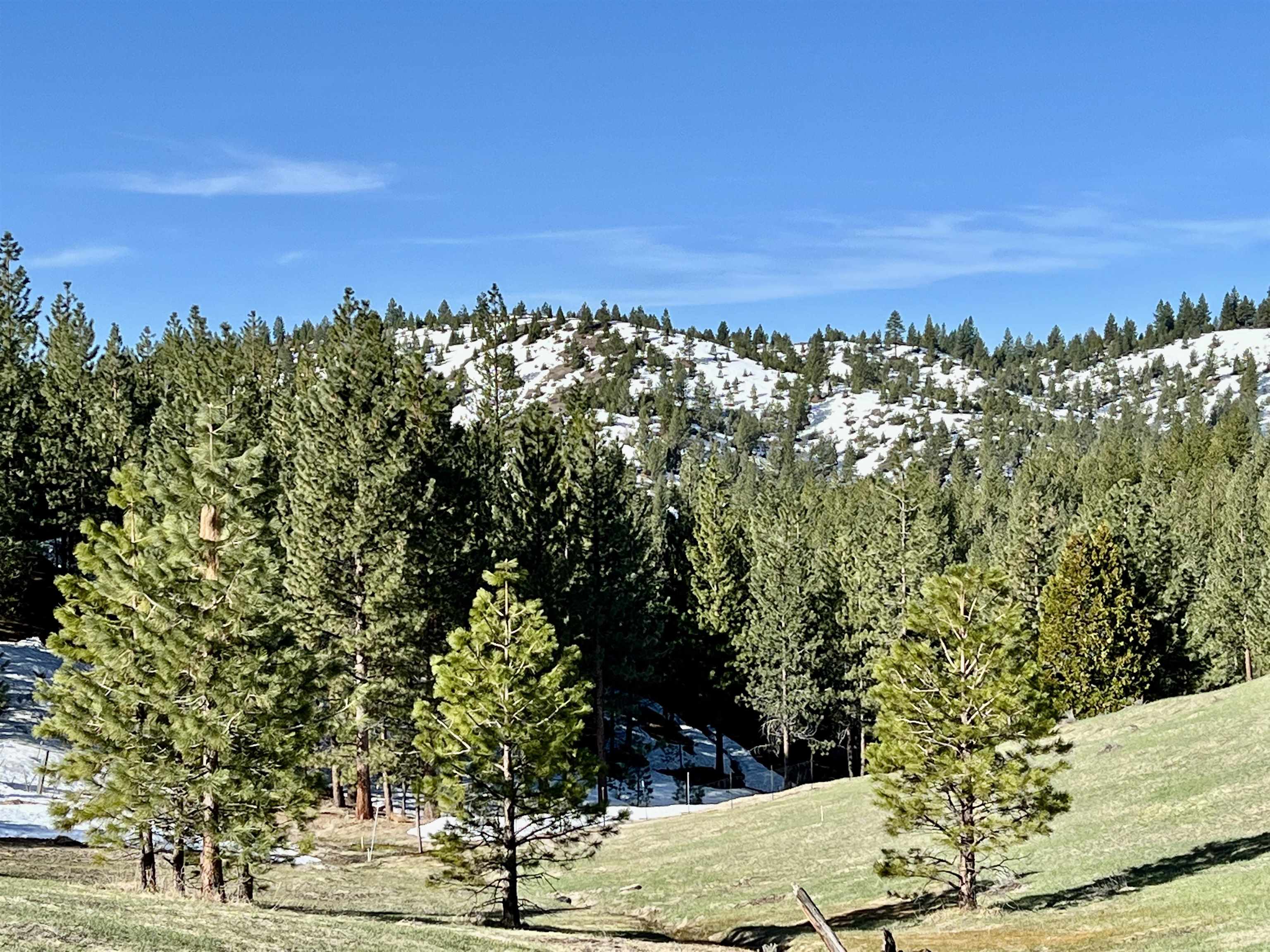 3490 Fawn Lane Portola, California 96122 20230210 Plumas County