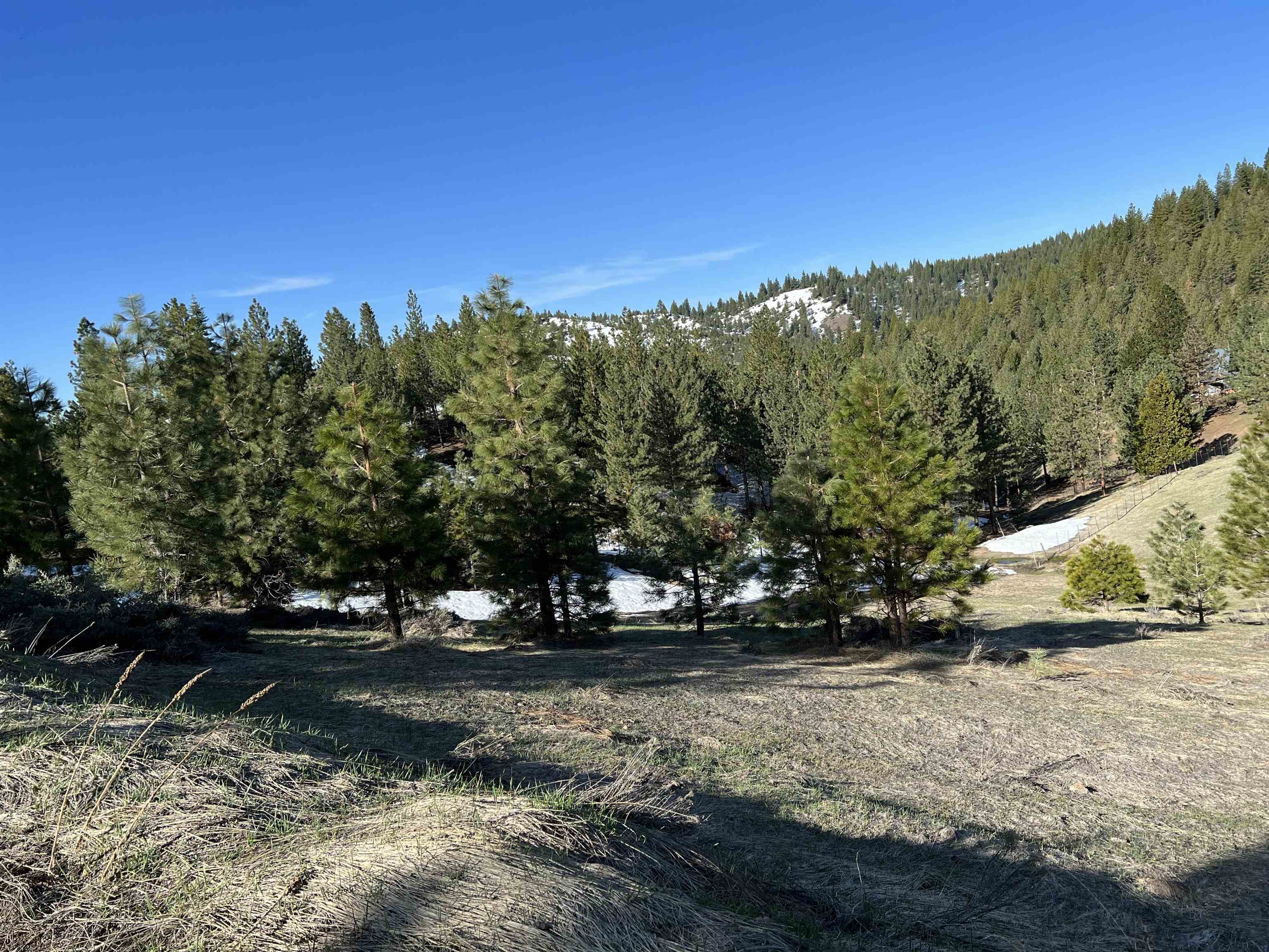 3490 Fawn Lane Portola, California 96122 20230210 Plumas County