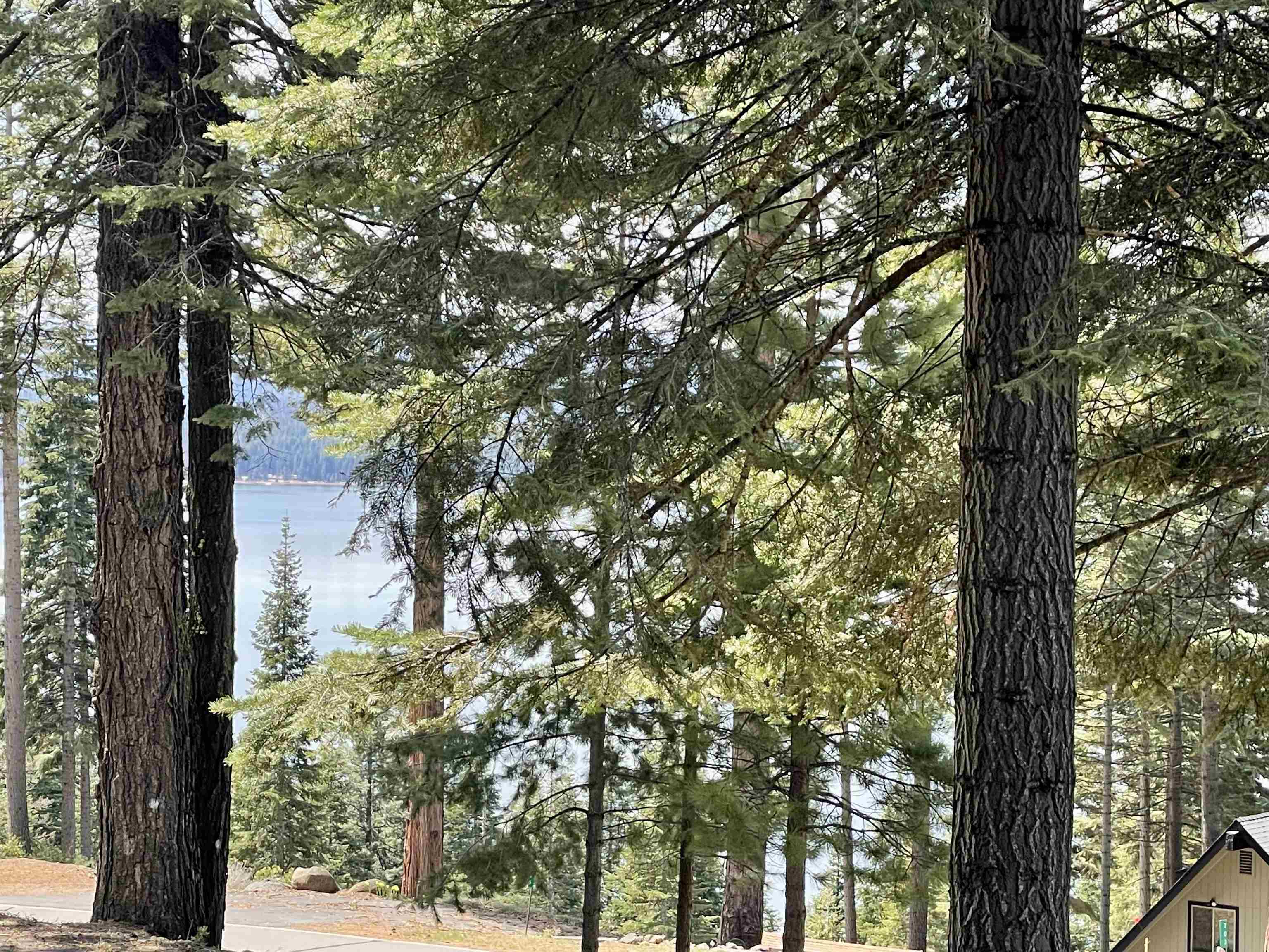 700 W Mountain Ridge Road Lake Almanor, California 96137 20230301