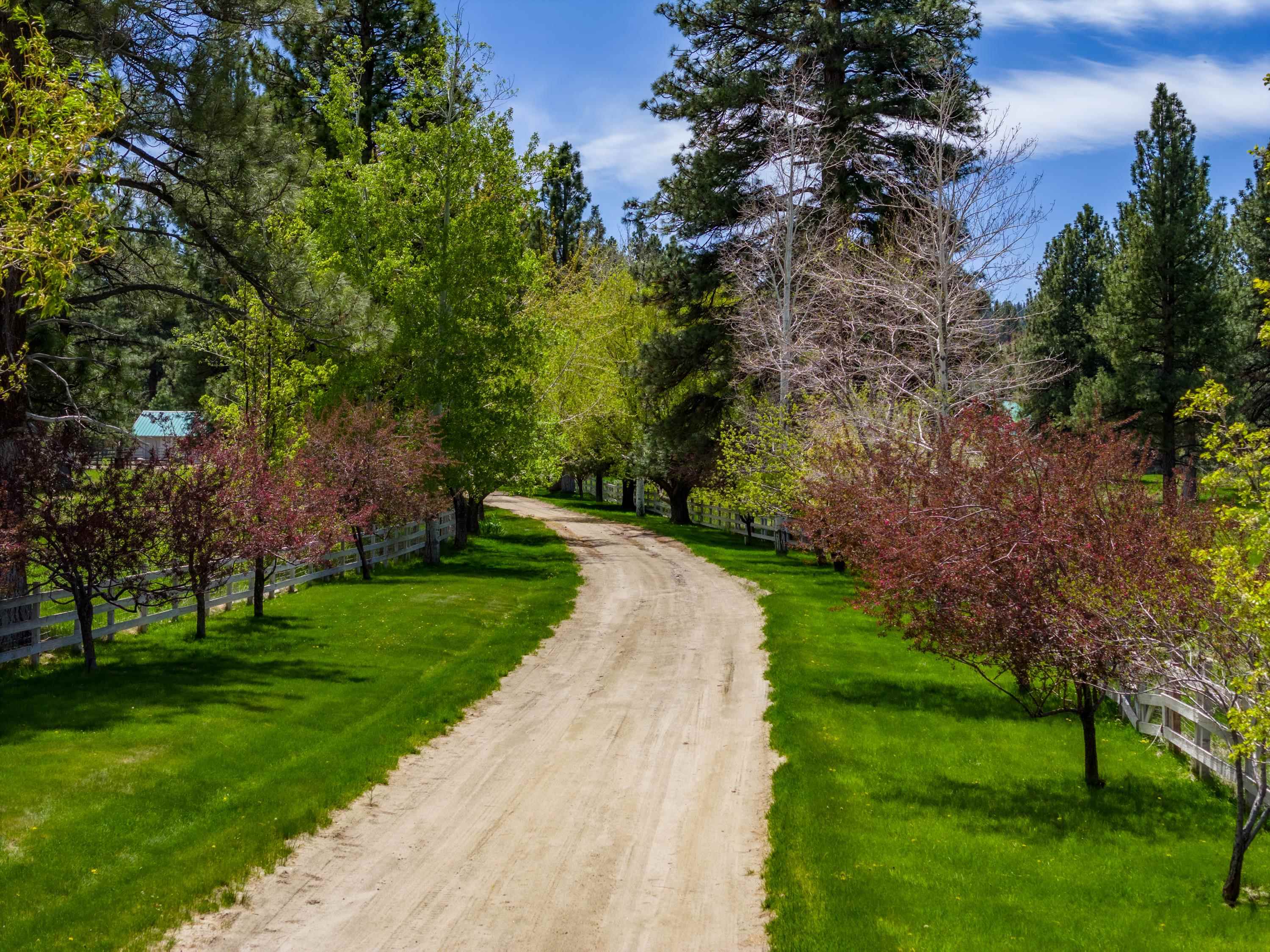 230 Green Gulch Road Chilcoot, California 96105 20230330 Plumas