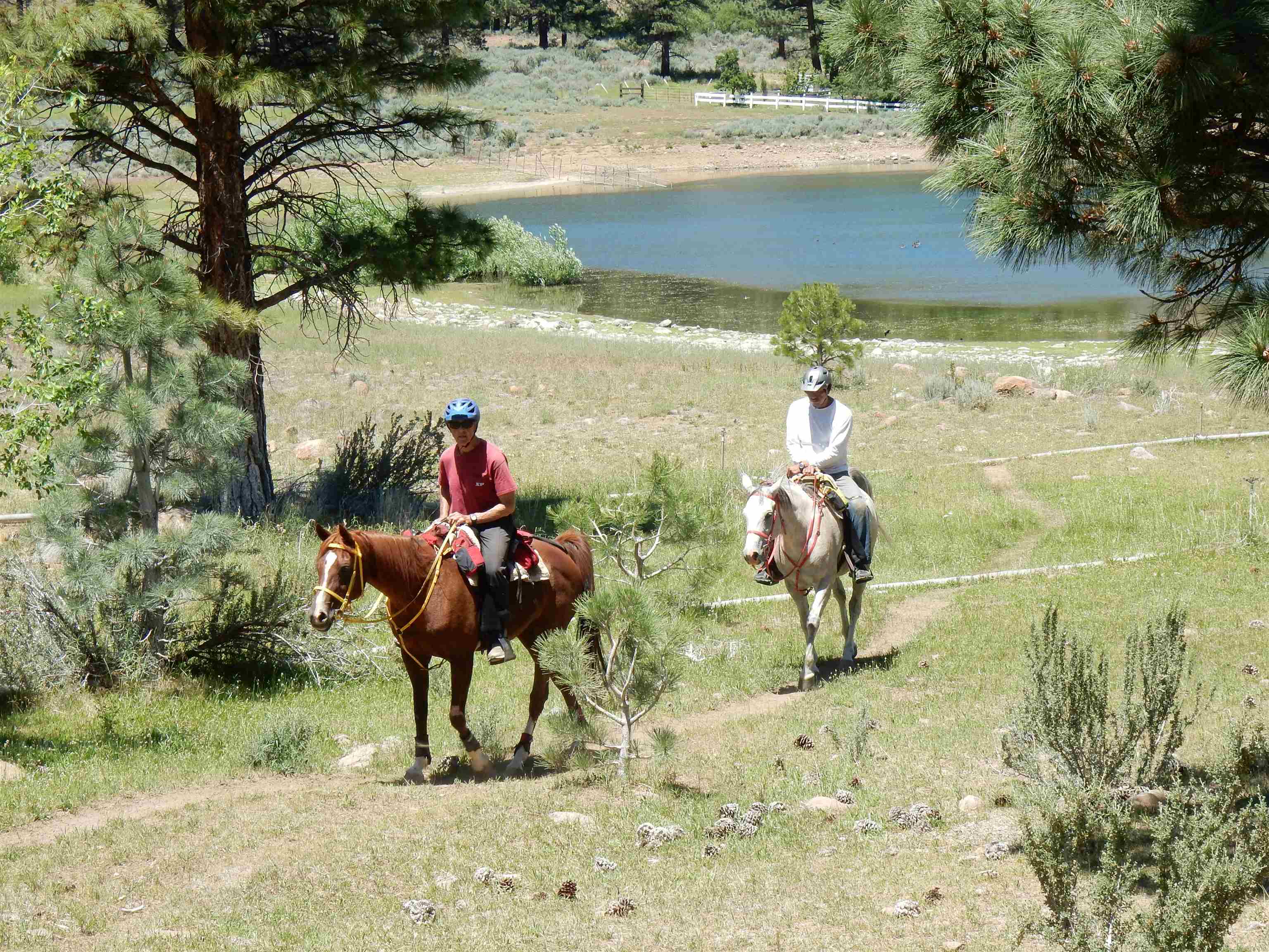 230 Green Gulch Road Chilcoot, California 96105 20230330 Lassen County Real Estate